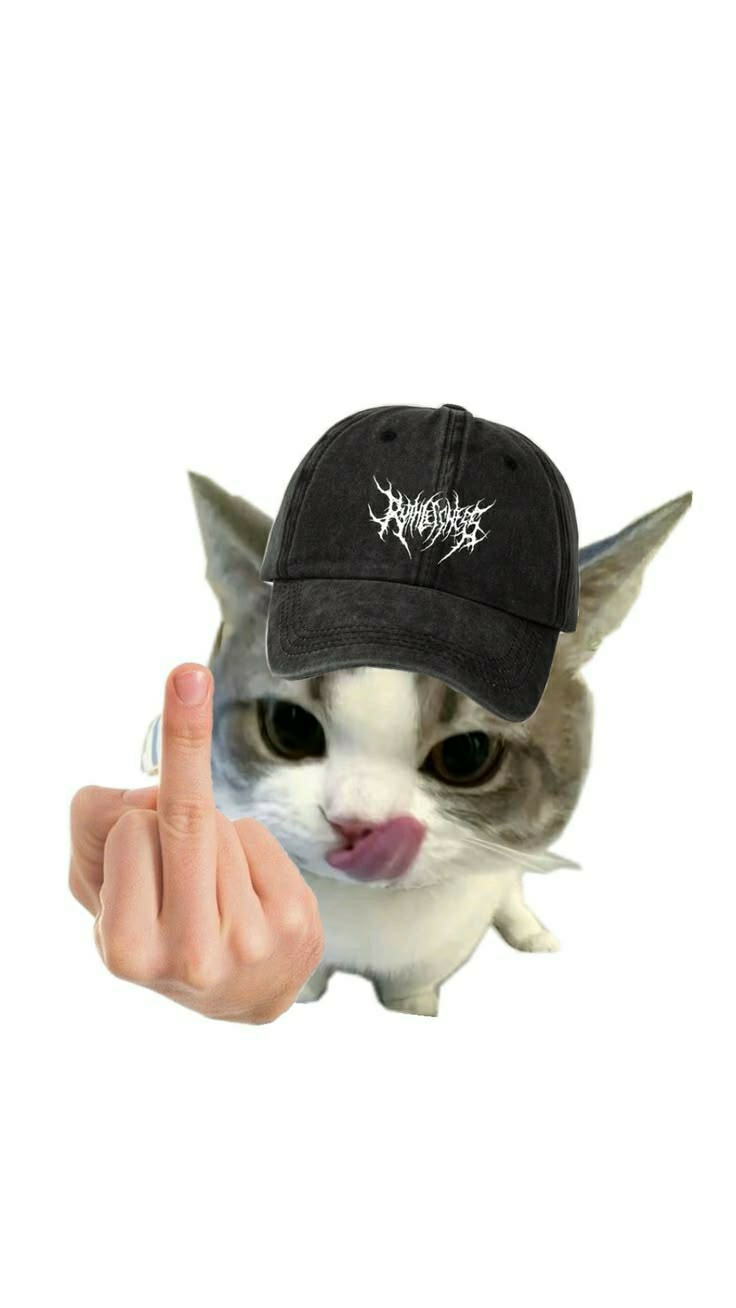 The image shows a close-up, digitally altered photograph of a cat wearing a dark baseball cap with a white, gothic-style logo. The cat has grey and white fur and is sticking its tongue out, appearing to lick its nose or upper lip. In the foreground, a human hand is positioned to the left of the cat, with the middle finger extended in an offensive gesture. The background is plain white, indicating the image is a composite or has been isolated from its original environment. There are no discernible elements of the city of Rengel, Indonesia within this image.
