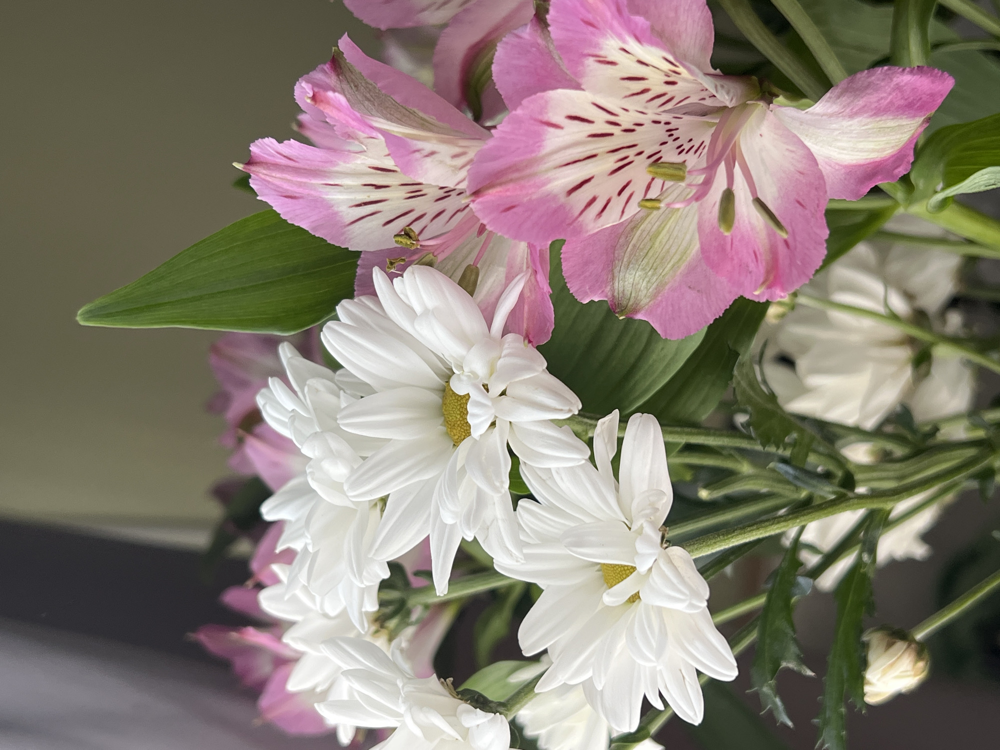 The image shows a close-up of a floral arrangement featuring white chrysanthemums and pink alstroemeria. The chrysanthemums have bright yellow centers and numerous white petals. The alstroemeria flowers have delicate pink petals with darker pink streaks and lighter green accents. Several green leaves are interspersed among the flowers, adding depth and contrast. The background is softly blurred, with areas of muted gray and olive green, suggesting an indoor setting. The lighting is soft and natural, highlighting the textures and colors of the blooms. There is no indication of any specific location within Paratunka, Russia.