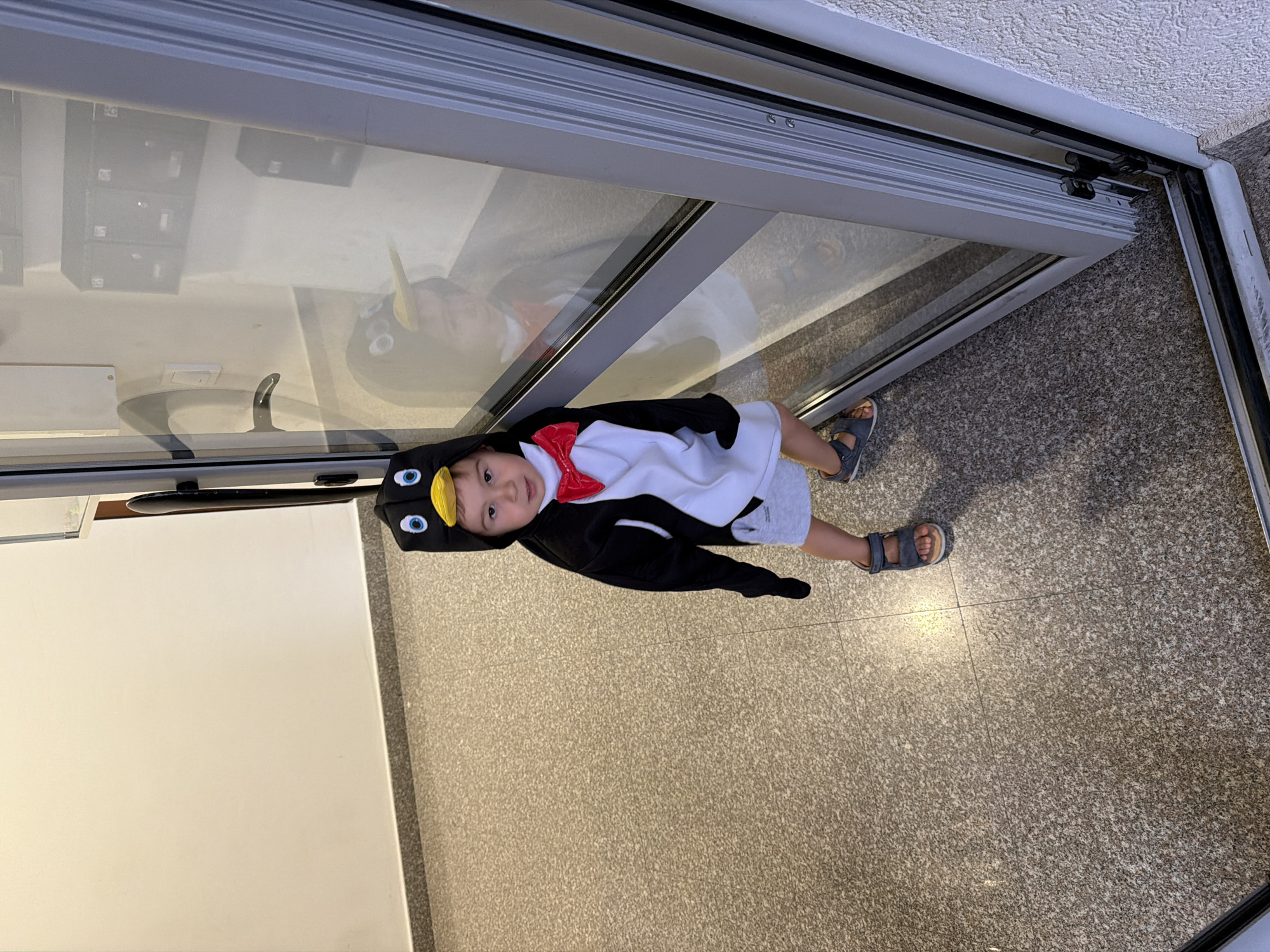 A child wearing a penguin costume stands on a speckled floor in front of a glass door. The child wears a black and white penguin suit with a red bow tie and a hood adorned with eyes and a yellow beak. The floor is light brown with dark speckles. The sliding glass door is metal-framed and reflects the interior, including mailboxes. The child wears sandals.