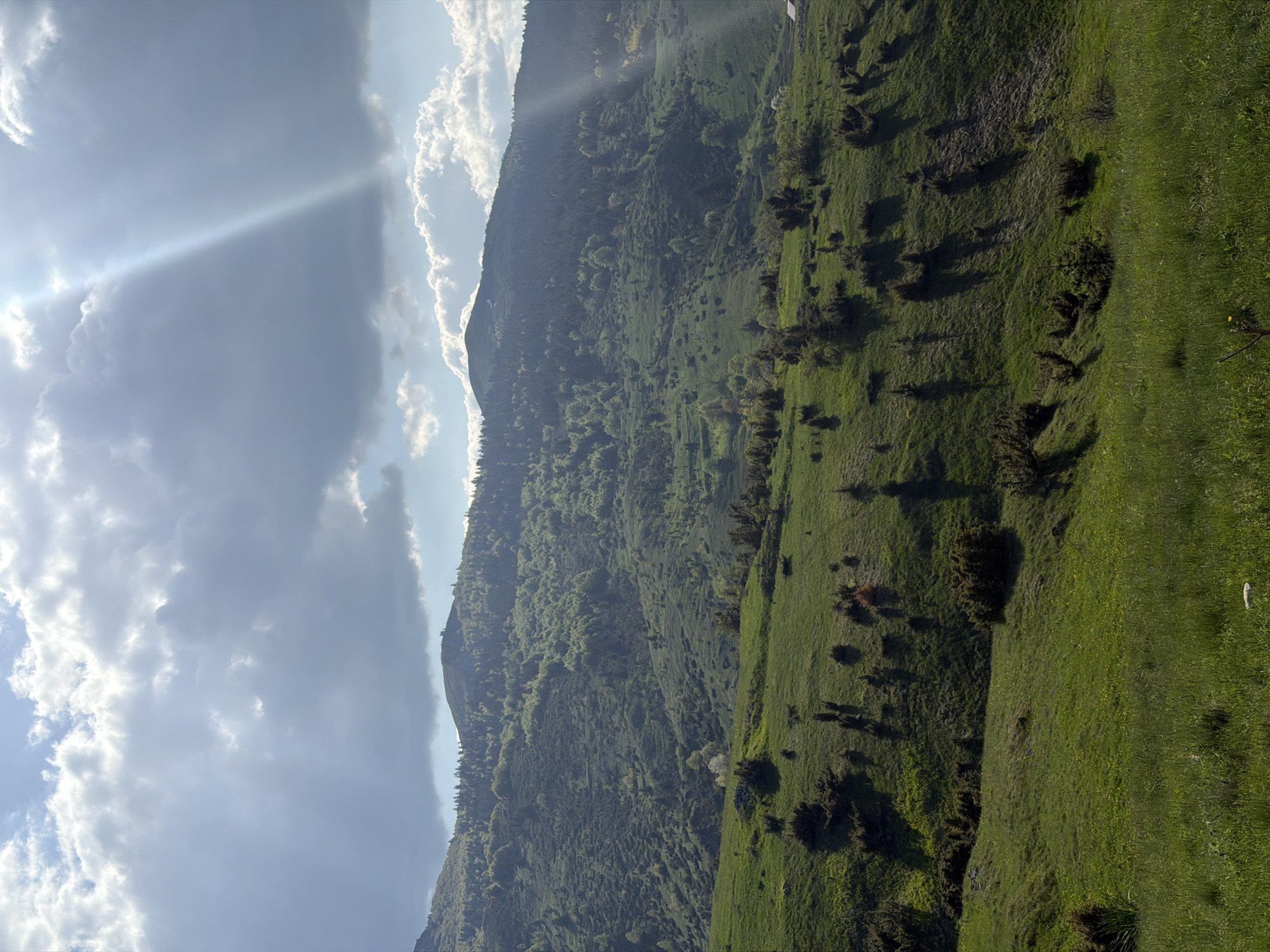 A sunny, natural scene of a hillside in Nedajno, Montenegro. A mountain occupies the left side of the frame, covered in lush green trees and vegetation. Light streams through the clouds, illuminating the landscape. To the right of the mountain is a grassy field dotted with shrubs and trees. The sky is partially cloudy, with sunlight breaking through. No people or animals are visible.