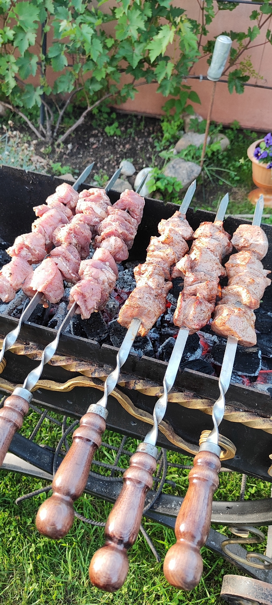 In a backyard setting, likely in Лёзненскі сельскі Савет, Belarus, several skewers of raw meat are being cooked over hot coals on a barbecue grill. The meat, appearing to be pork or lamb, is cut into bite-sized pieces and threaded onto metal skewers with ornate wooden handles. The grill is black and appears to be made of metal, with a decorative scrolling base. The background features lush green foliage, suggesting a temperate climate and the presence of plants. In the upper right corner, a metal can is affixed to a stake, possibly serving as a wind chime or decoration. The scene evokes a sense of outdoor cooking and leisure.