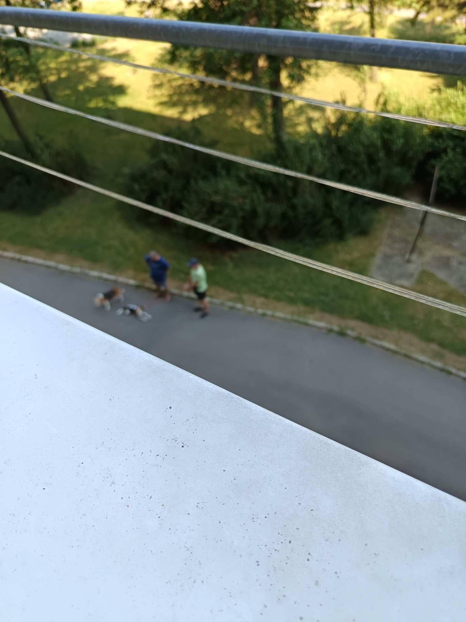 The image depicts a scene on a street in the city of Košice, Slovakia. In the middle ground, two individuals and two dogs are visible on an asphalt road. One person, wearing a blue shirt and a dark cap, stands near the edge of the road. Beside them, another person, dressed in a green shirt and dark shorts, is also present. Two dogs are on the road near the people; one appears to be a beagle, and the other is lying down. The background shows a grassy area with trees and what appears to be a sidewalk or pathway. A metal railing runs across the top of the frame, obscuring parts of the background. The foreground is dominated by a white, textured surface, possibly a balcony railing or ledge. The lighting suggests it is daytime, likely outdoors.