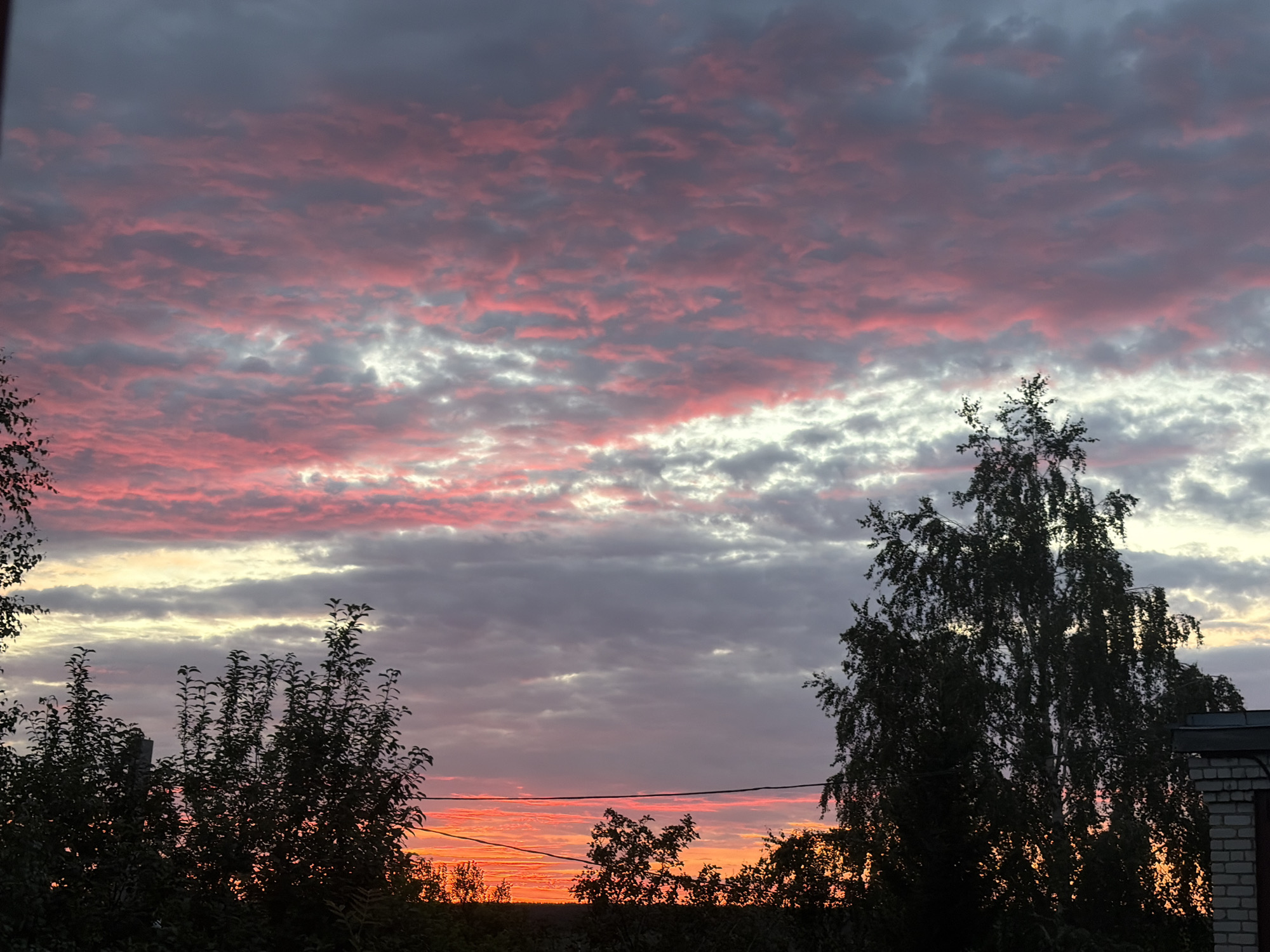 The image depicts a sunset over Leninsk-Kuznetskiy, Russia. Silhouetted against the vibrant sky are several trees and the corner of a brick building. The sky is filled with dramatic clouds, tinged with shades of pink, purple, and gray, indicating the last moments of daylight. The overall scene is one of natural beauty, with the warm colors of the sunset contrasting with the dark silhouettes of the foreground elements.