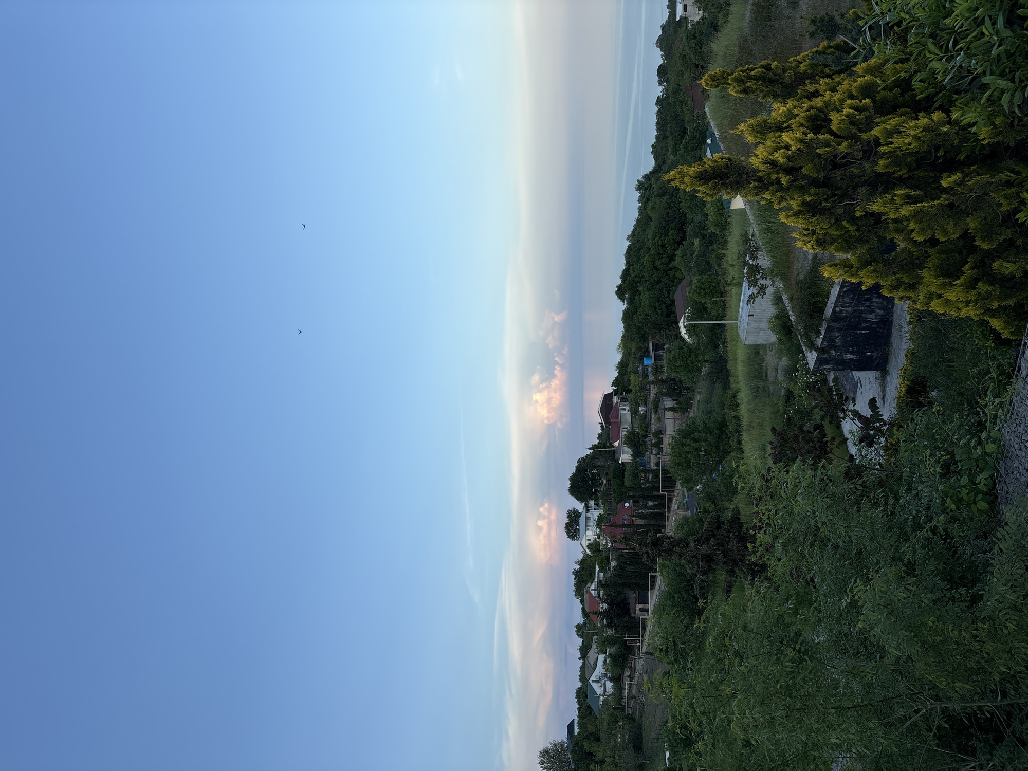 The image presents a view in Kiparisnoe, Ukraine, showing a landscape with vegetation, houses, and the sky. The perspective is slightly elevated, suggesting the photo was taken from a higher vantage point. The sky is partly cloudy, and there are two birds visible. The hillside is covered with trees and some residential buildings. The plants are thick in the foreground.