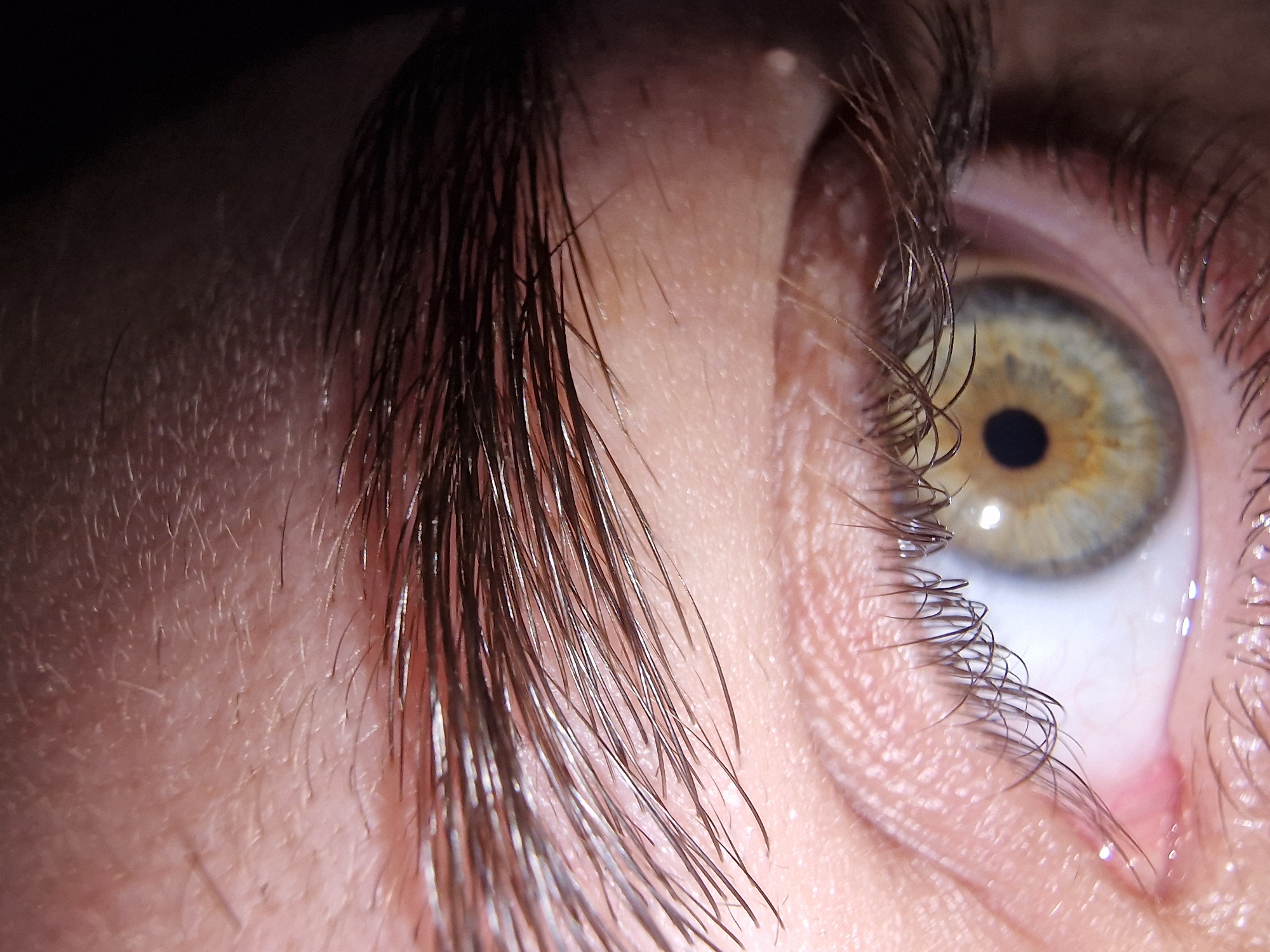 A close-up view of a human eye, including the eyebrow and eyelashes. The iris is light green/yellowish with a dark pupil. The surrounding skin and hairs are visible in detail. The scene does not depict any specific location in the city of Unknown, Unknown, or any identifiable objects, actions, or interactions.