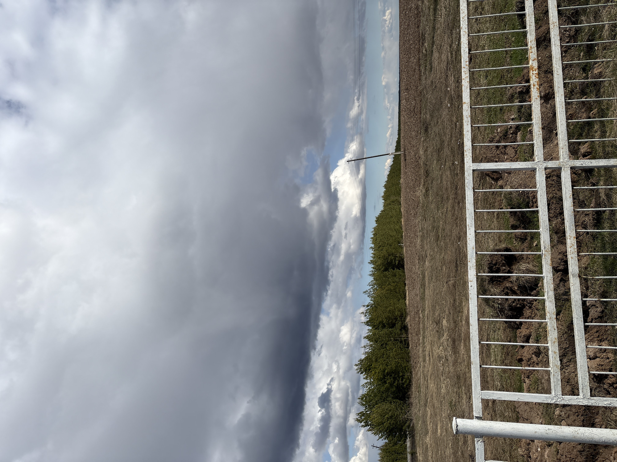 This image, set in a rural landscape in Alnashi, Russia, captures a vast, open field under a dynamic sky. The scene is dominated by a dramatic contrast in weather conditions. On the left side, heavy, dark grey storm clouds loom large, suggesting an approaching storm or recent downpour. To the right, the sky begins to clear, revealing patches of bright blue and fluffy white cumulus clouds, indicating a transition to fairer weather.
The horizon separates the expansive sky from the land below. The ground is largely barren and dry, characterized by brown earth and sparse, dull green vegetation, typical of early spring or late autumn. A distinct line of dense green trees forms a natural boundary across the mid-ground on the right, possibly serving as a windbreak. A single utility pole, with wires extending horizontally, stands in the middle distance.
In the immediate foreground on the right, a white, grid-patterned metal structure, likely part of a fence or gate, is visible. It shows signs of rust in areas and is situated over uneven, dark soil mixed with some green grass. The image conveys a static, tranquil rural setting, focusing on the natural environment and changing weather. There are no people, explicit activities, or visible text present. The time of day appears to be daytime, with varying light conditions due to the cloud cover.