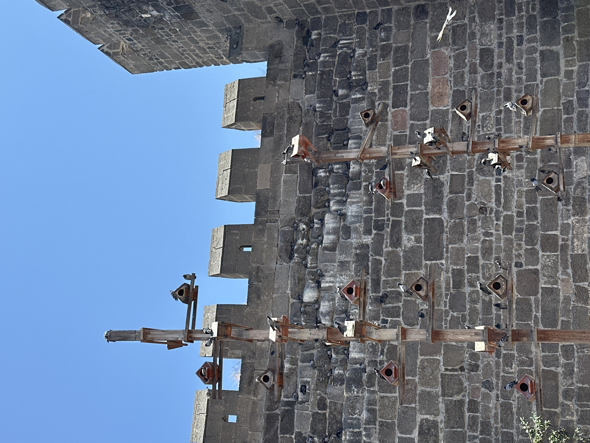A stone wall, likely part of the Kayseri Castle in Kayseri, Turkey, forms the backdrop of this image. A tall wooden structure with multiple levels of birdhouses is mounted in front of the wall. Numerous pigeons are perched on and around the birdhouses, as well as on ledges and in crevices of the stone wall. The sky above is clear and blue. The scene appears to be a nesting area or sanctuary for pigeons, integrated into the historical architecture of the city.