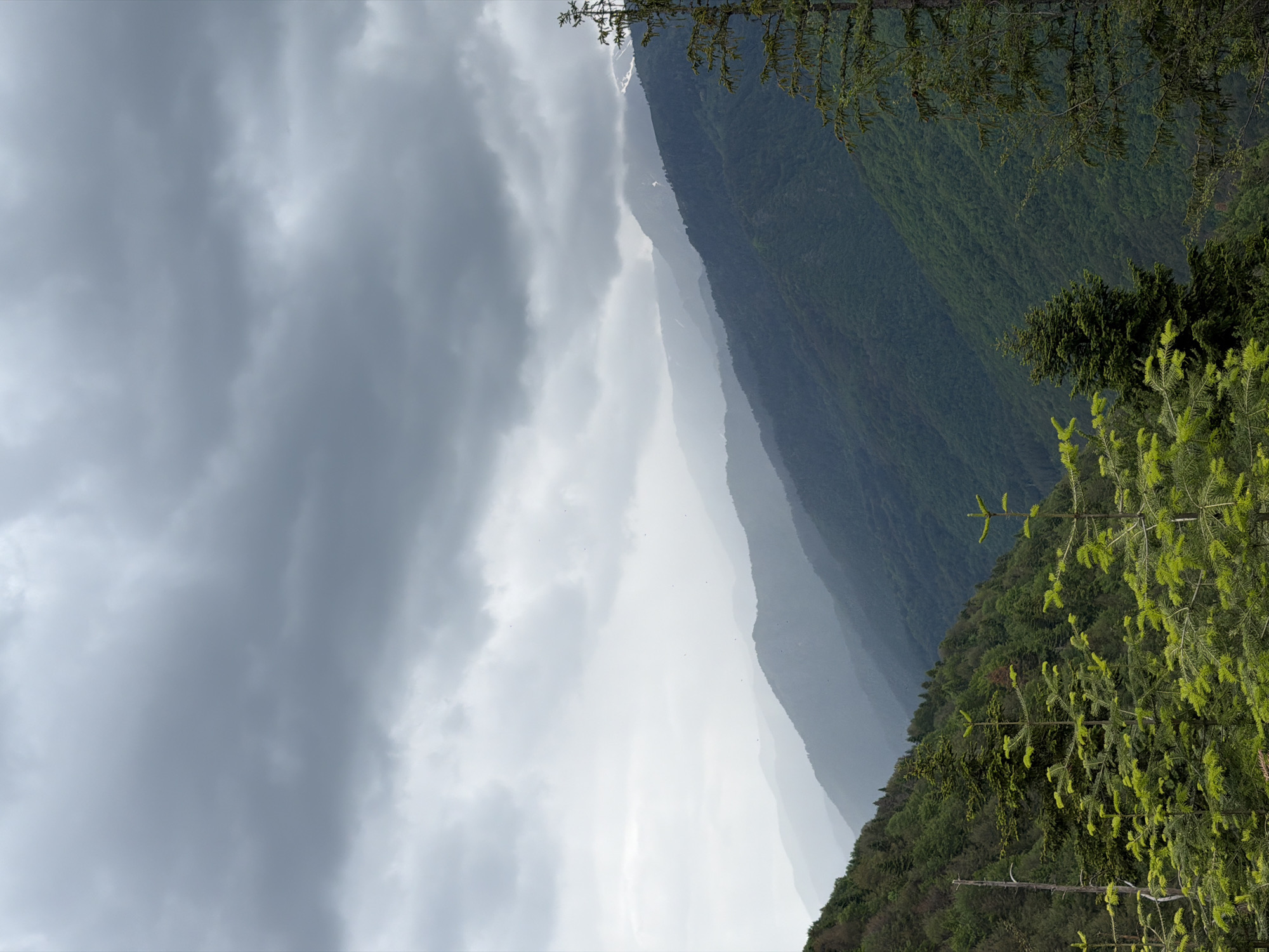 The image shows a mountainous landscape under a cloudy sky. Several mountain ridges are visible, receding into the distance. The nearest ridge is covered in lush green vegetation, including pine trees. The sky is overcast with gray clouds. The image appears to be taken from a high vantage point near a forest in the region of Рилски манастир, Bulgaria. There are no people or clear actions visible in the image. The focus is on the natural landscape and weather conditions.