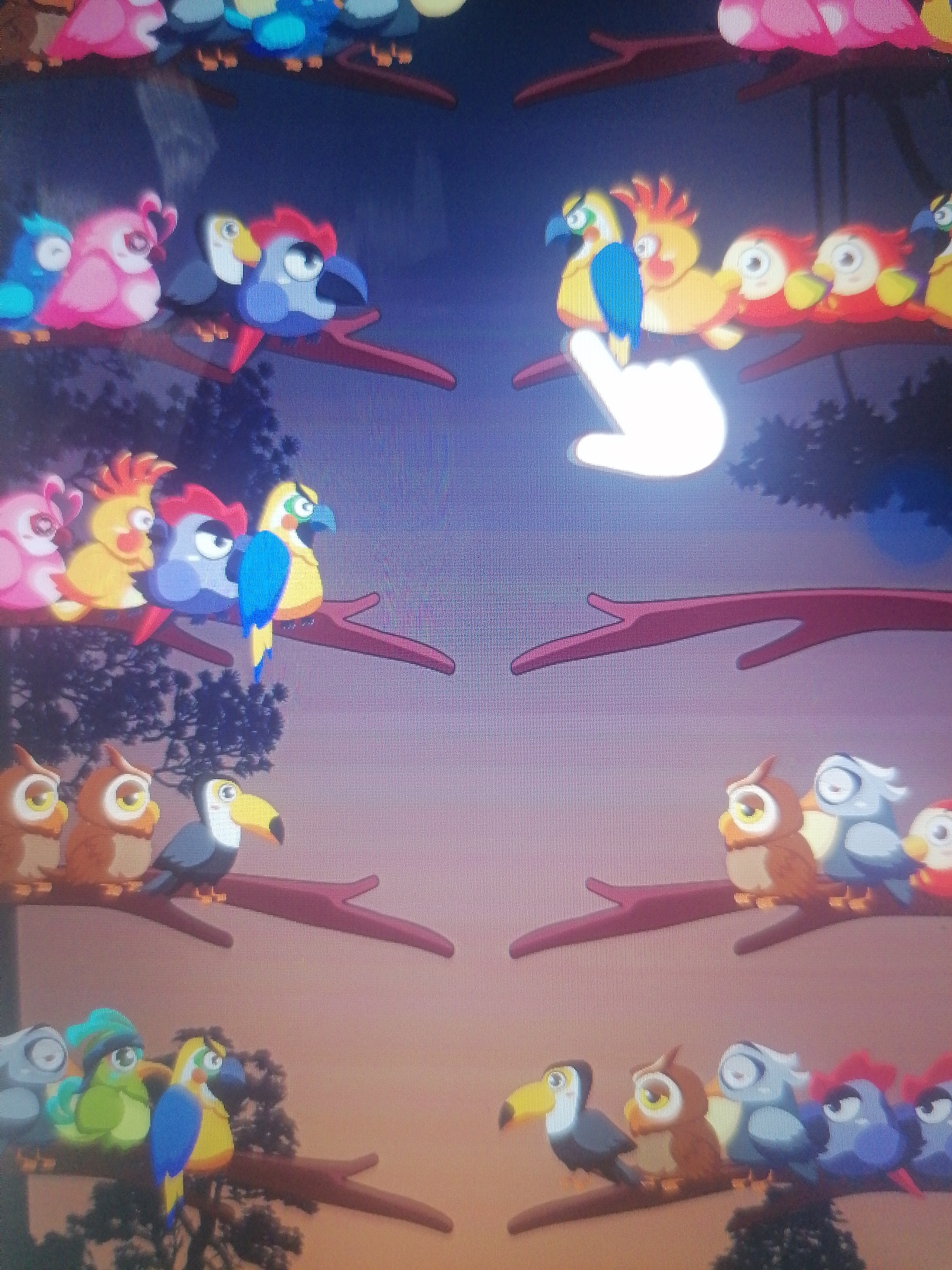 The image displays a cartoon scene with several colorful birds perched on branches against a gradient sky transitioning from dark blue to light orange. The birds are depicted in various colors and species, resembling parrots, owls, and toucans. In the upper half of the image, a white hand cursor is shown pointing at a yellow bird. The scene is divided vertically into two mirrored halves, each featuring a row of birds on a branch. The lower half of the image shows a second set of birds on branches, with a toucan prominently featured in the foreground of the left side, accompanied by owls and parrots. The overall impression is that of a digital illustration or game interface. There is no identifiable location in the city of Unknown, Unknown.
