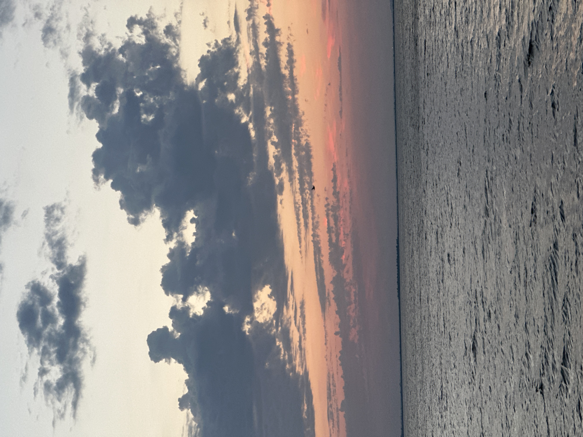 A vertical, full-frame photograph captures a serene sunset over a body of water. The sky is a gradient of pale yellow at the top, transitioning to soft pinks and oranges as it descends. Dark, textured clouds are scattered across the upper portion of the sky, some appearing dramatic and voluminous, while others are thin and wispy. A single, small bird is silhouetted against the colorful sky in the middle distance. Below the sky, a thin, dark horizon line suggests distant land, possibly with a tree line. The lower half of the image is dominated by the water, which appears dark and slightly choppy, reflecting the muted tones of the sky. The scene evokes a sense of calm and natural beauty. The location is not Kokshetau, Kazakhstan.