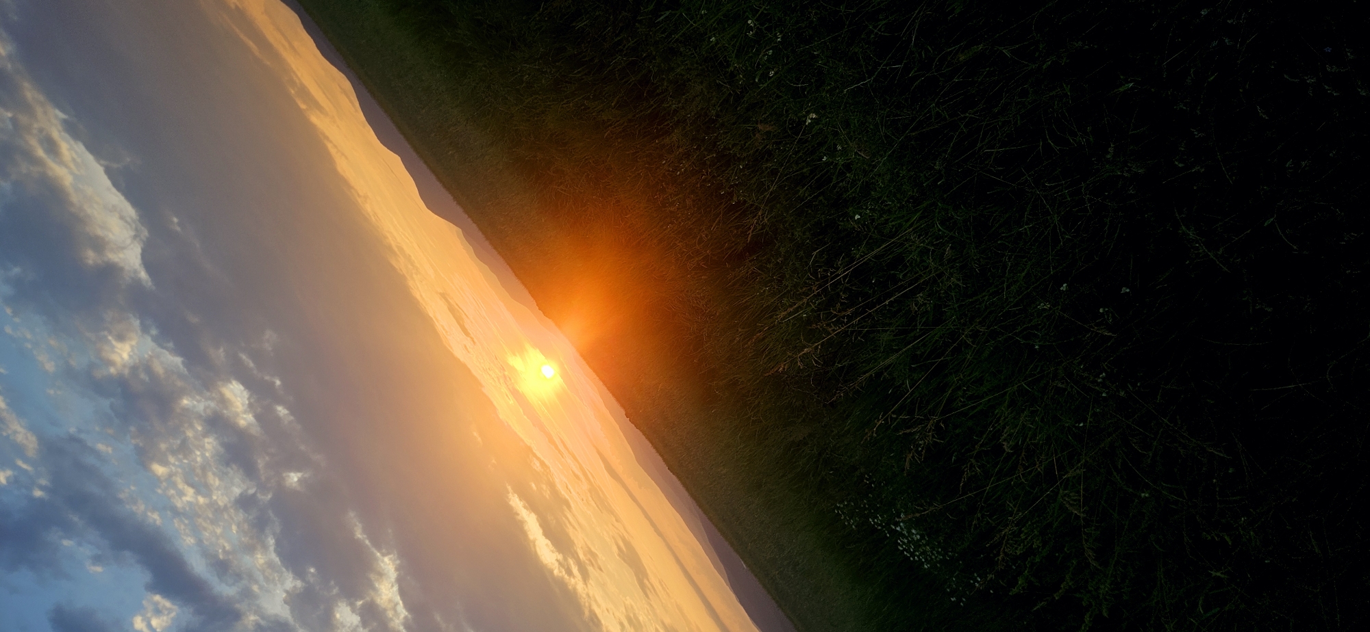 This image captures a landscape scene during either sunrise or sunset, utilizing a strong diagonal composition. The sky occupies the upper portion, transitioning from clear blue with scattered white and grey clouds in the upper left to an intense gradient of orange and yellow in the middle and along the horizon. The sun, a bright yellow-orange disc, is prominent on the mid-left segment of the diagonal horizon line, casting a significant orange-red lens flare that extends into the foreground. Along the diagonal horizon, multiple layers of hills or mountains are visible as dark, purplish-grey silhouettes against the luminous sky. The lower right two-thirds of the image feature a dense field of tall grass, predominantly in deep shadow, appearing dark green to black, with some individual blades and stalks discernible. Small white wildflowers are sparsely distributed within the shadowed grass. No human figures, animals, or artificial structures are present. The lighting is characterized by strong contrasts between the brightly lit sky and the heavily shadowed foreground. The scene is located in the vicinity of Momin Prohod, Bulgaria.