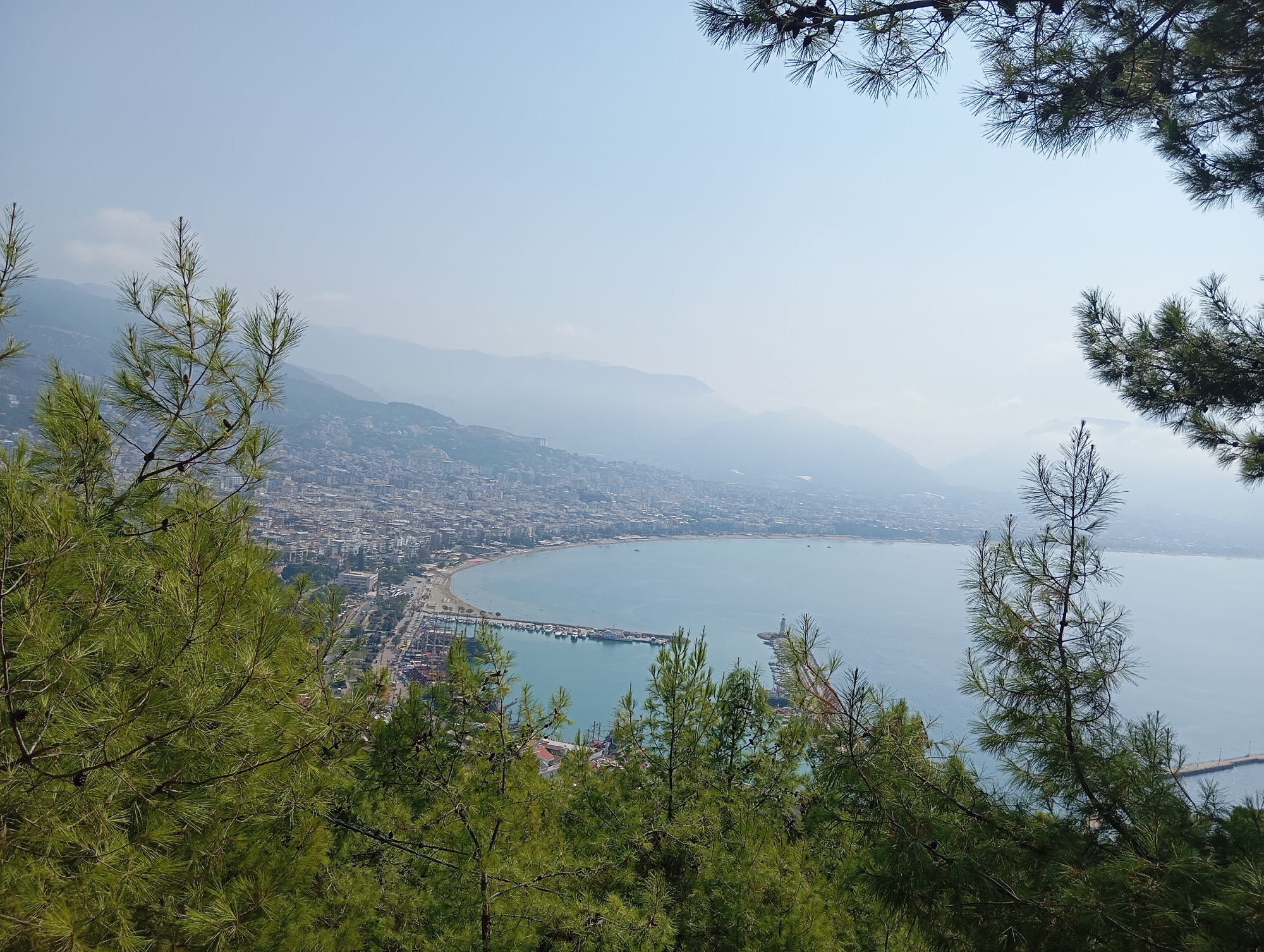 An elevated, wide-angle, daytime shot captures a hazy, panoramic view of a coastal city situated on a bay. The foreground is dominated by lush, green pine trees with long needles and cones, framing the scene and obscuring parts of the view.
In the mid-ground, the city sprawls along the shoreline, characterized by densely packed, light-colored buildings and a crescent-shaped beach. A prominent pier extends into the calm, blue water, lined with numerous docked boats and yachts. A lighthouse stands at the end of another pier in the bay. The water is clear and reflects the hazy sky.
The background consists of rolling mountains, softened by atmospheric haze, fading into the pale blue sky. The overall impression is one of a peaceful, picturesque coastal landscape.
