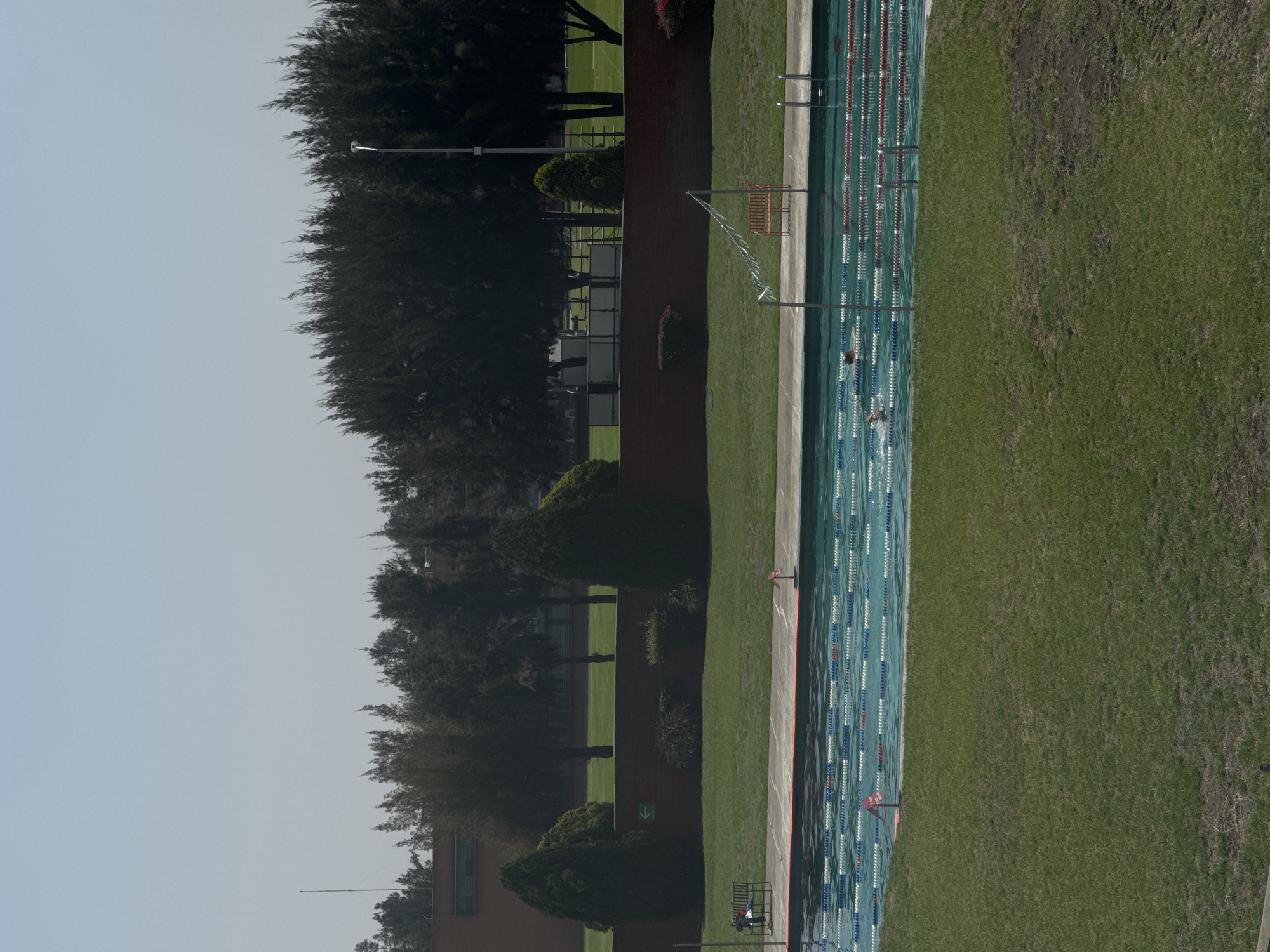 This image captures an outdoor swimming pool area in San Andrés Cholula, Mexico, under a bright, clear daytime sky. The scene is divided horizontally, with a serene light blue sky at the top.
In the mid-ground, a multi-lane swimming pool stretches horizontally across the frame. Its clear blue water is marked by distinct lane dividers in blue, white, and red. At least two individuals are visible swimming within the lanes, suggesting an ongoing activity like practice or leisure laps. Starting blocks are present at one end of the pool, and the surrounding deck is made of light grey concrete.
To the left of the pool, a dark reddish-brown wall acts as a boundary, behind which a dense line of tall, dark evergreen trees creates a verdant backdrop. Several smaller, manicured evergreen bushes are placed in front of this wall. Glimpses of reddish-brown buildings are visible behind the trees and wall. A lamppost stands tall among the trees. A red bench is situated near the far side of the pool, close to the wall.
To the right of the swimming pool is a wide expanse of green grass, appearing somewhat varied in density with patches of lighter or drier grass and some visible soil.
Notable details include a green arrow pointing downwards on a white sign affixed to the reddish wall, and a smaller red sign with unreadable white text positioned near the edge of the pool. The clear sky and bright lighting indicate good weather conditions.