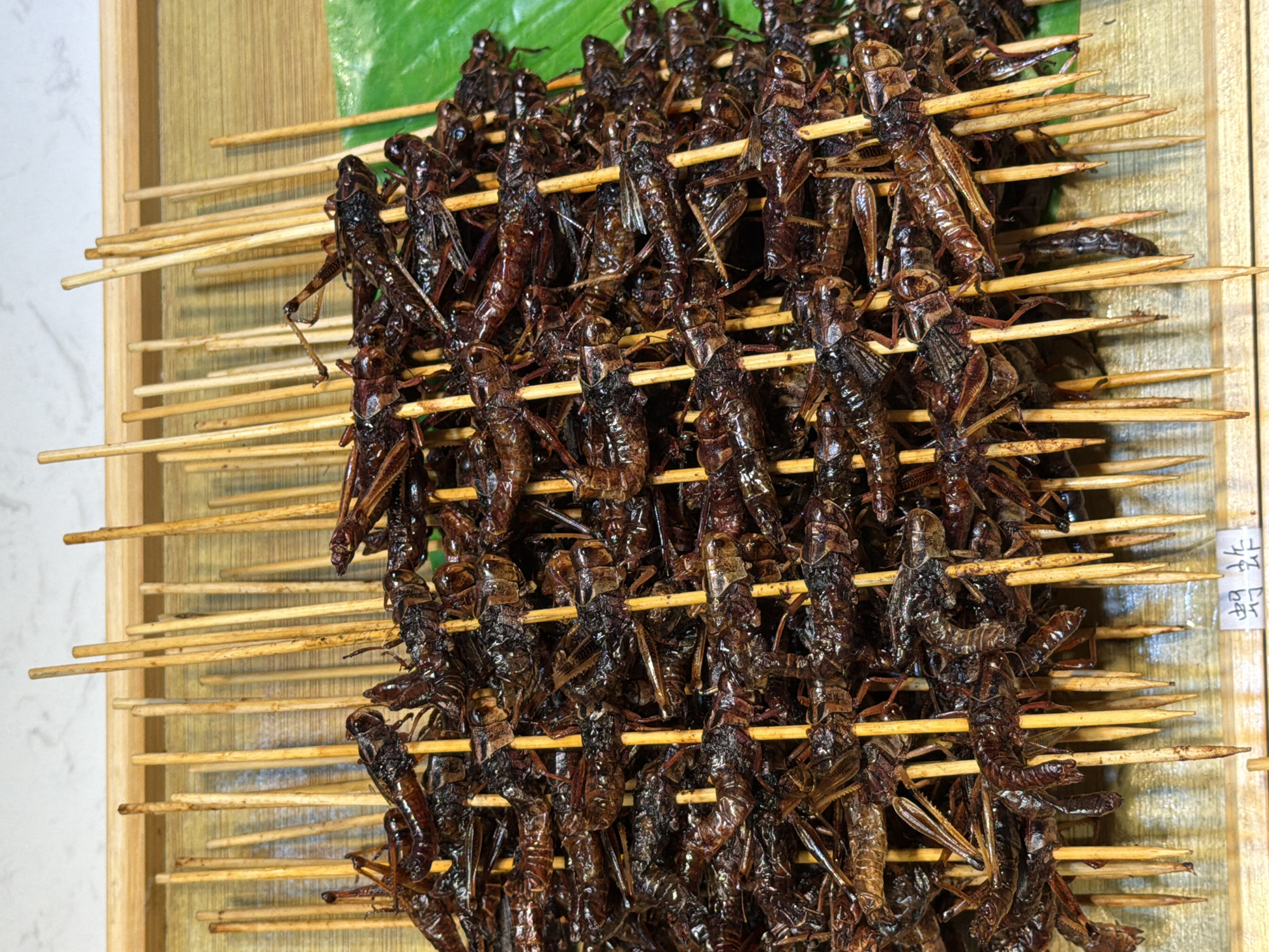 A close-up, overhead shot shows a tray filled with fried insects on wooden skewers. The insects, likely grasshoppers, are dark brown and appear to be whole, with visible legs and antennae. They are densely packed on the skewers, forming a layered pyramid shape. A bright green banana leaf is visible on the right side of the tray, peeking out from beneath the insects. In the bottom right corner, a small white sign with Chinese characters is visible. The background consists of a light-colored, textured surface, possibly a countertop or wall. The lighting is even, highlighting the glossy texture of the fried insects. The scene appears to be a food stall in the Yuzhong District of China, as indicated by the presence of common street food ingredients.