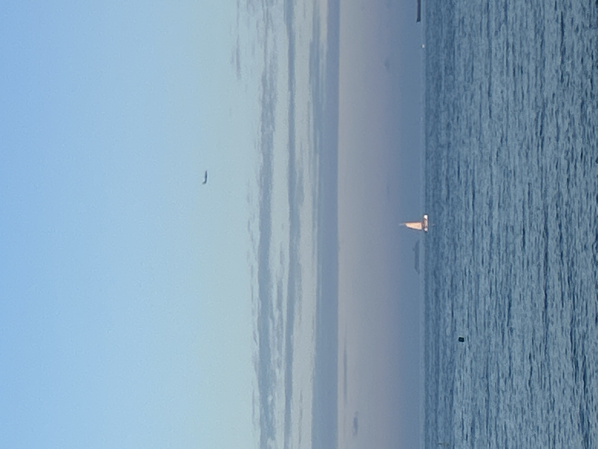 The image shows a view of the sea, likely taken from Barcelona, Spain. The sky is light blue, with long, thin, vertical cloud formations. A small, dark shape, possibly a bird, is visible in the sky. A sailboat is sailing on the water, and a dark, small object, possibly a buoy, floats on the surface. The sea is blue with visible wave patterns.
