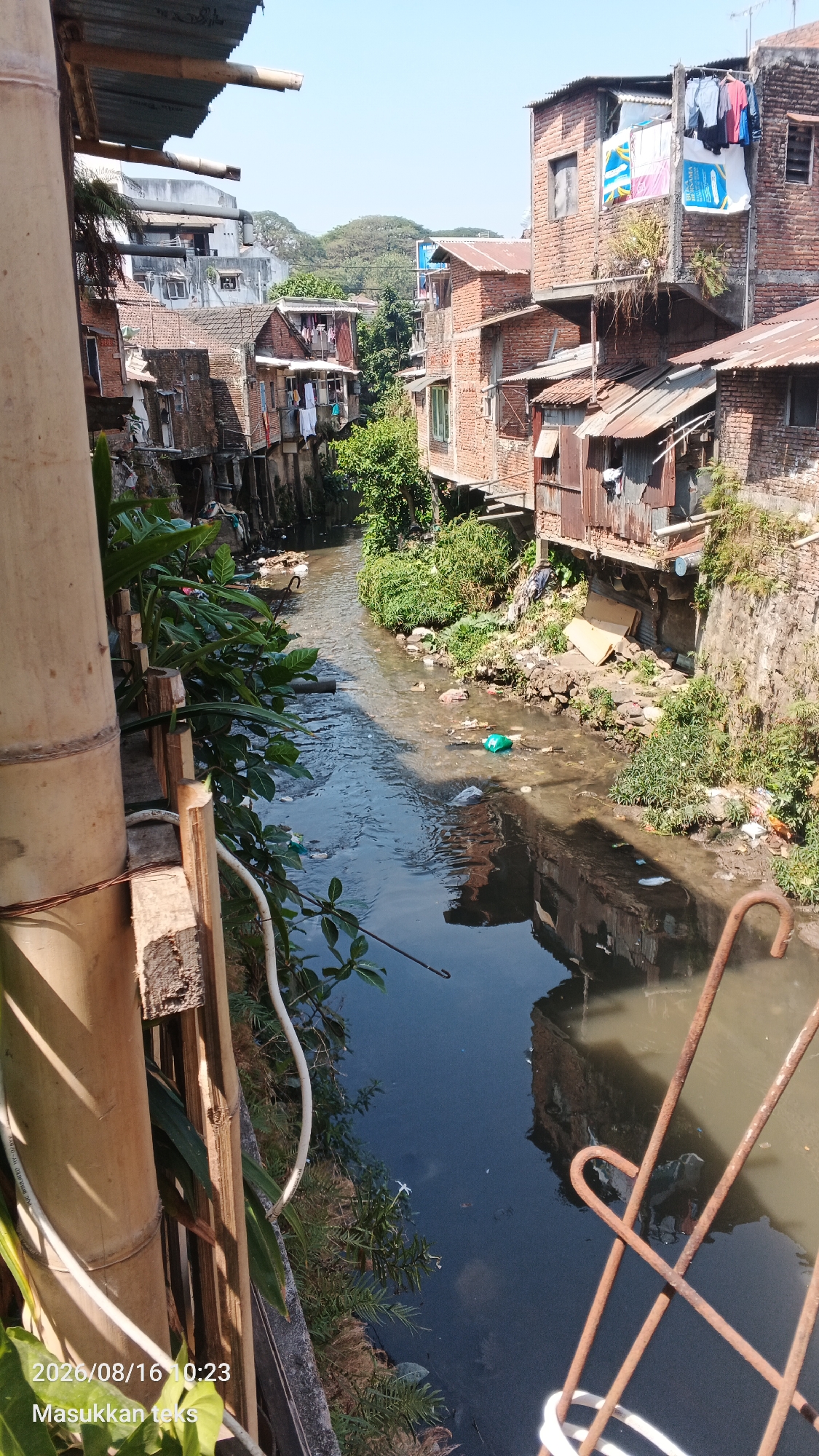 The image depicts a narrow, polluted river flowing through a densely populated urban area in Malang, Indonesia. The riverbanks are lined with dilapidated buildings constructed from brick and corrugated metal, with some appearing to be built precariously close to the water's edge. Laundry is visible hanging from some of the buildings, suggesting that people live in close proximity to the river. The water itself is murky and filled with debris, including plastic bottles and other refuse, indicating a significant pollution problem. Lush green vegetation is present along the riverbanks, contrasting with the man-made structures and the polluted water. In the foreground, a section of bamboo fencing and some plants are visible, suggesting this vantage point is from a walkway or balcony overlooking the river. The sky is clear and blue, suggesting a sunny day. A timestamp and text overlay at the bottom left corner read "2026/08/16 10:23 Masukkan teks".