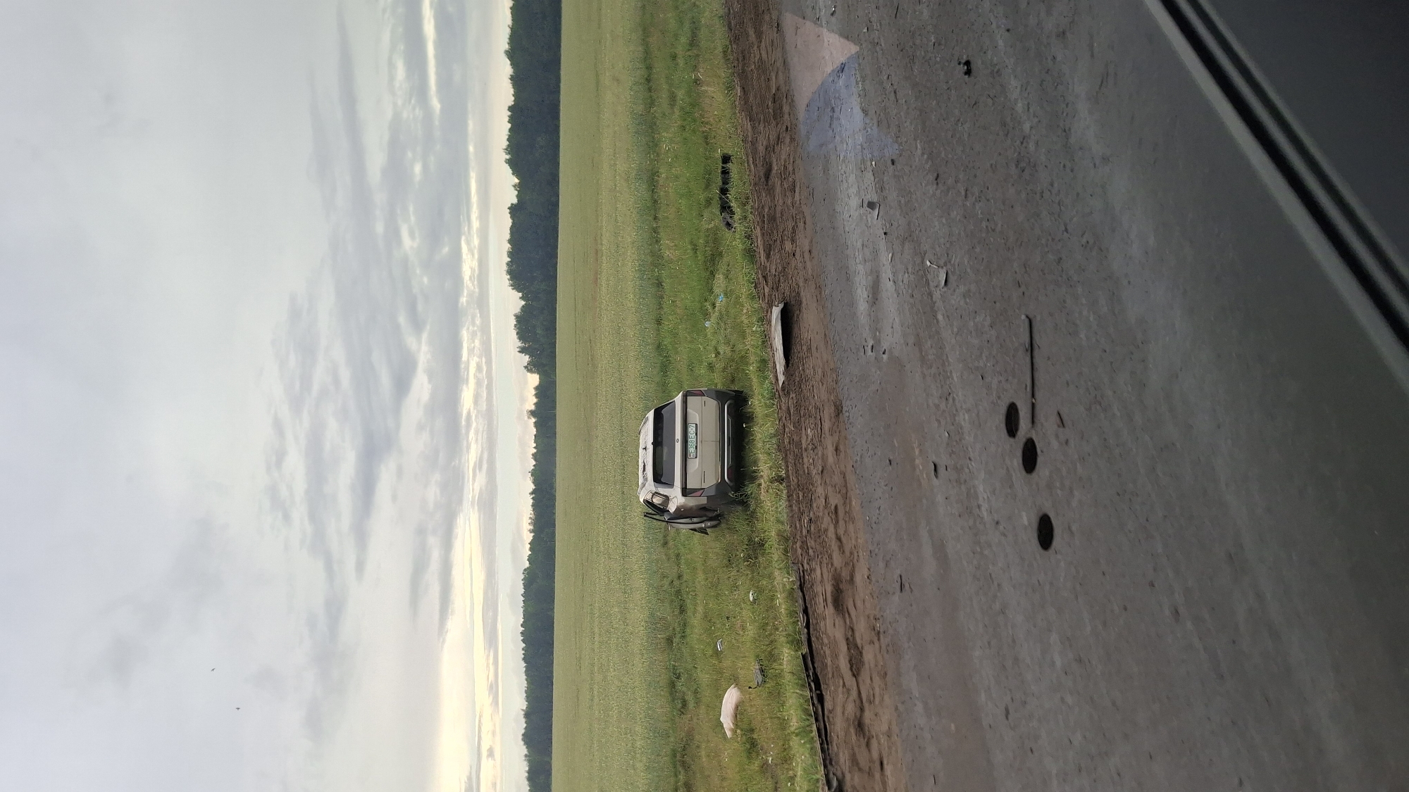 The image depicts a light-colored, damaged SUV, possibly a crossover, stopped in a grassy field adjacent to a dirt road. The vehicle's driver-side door is open, and the rear bumper displays a license plate with characters "E 368 EC 7". The SUV is positioned in a rural setting with a large, green field stretching into the background, bordered by a dense line of trees. The sky is overcast with scattered clouds. The foreground shows a section of the dirt road, with debris scattered on its surface. A white, shroud-like object lies on the grass to the left of the vehicle, and another dark object, possibly a piece of debris or an animal, is visible further into the field to the right. The scene suggests a vehicle accident in a remote, possibly agricultural area. The location is identified as Ilyanskiy selskiy Sovet, Belarus.
