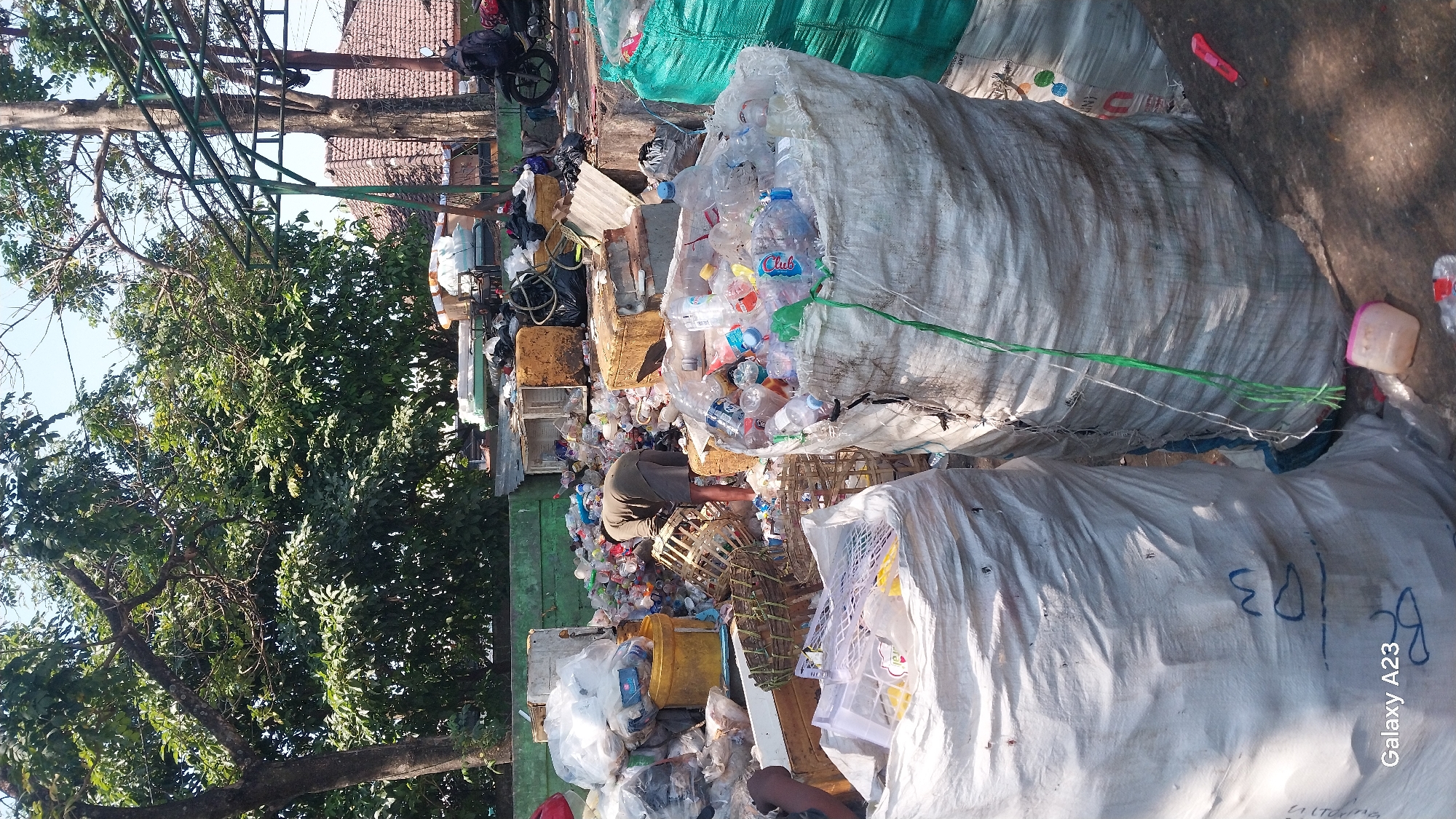 The image depicts an outdoor scene in what appears to be a recycling or waste sorting area, possibly located in the city of Malang, Indonesia. In the foreground, two large, white, woven sacks are prominently displayed. The left sack is partially filled with white materials, and the right sack is overflowing with clear plastic bottles. A green string is tied around the right sack, and a pink plastic container and a red box cutter are visible on the ground nearby.
In the mid-ground, a person wearing a dark olive-colored shirt and shorts is seen bending over, sifting through a pile of plastic bottles and various other discarded items. The area is filled with a variety of recyclable materials, including more plastic bottles, yellow containers, white plastic crates, and black trash bags. Wooden crates and what appears to be corrugated metal sheeting are also present, forming part of the landscape of discarded materials.
The background reveals lush green trees and foliage, suggesting an outdoor environment. In the far background, a tiled roof of a building and a metal structure supporting some sort of awning or canopy are visible. A motorcycle is parked to the right of the frame. The overall scene is one of an active, albeit somewhat disorganized, collection and sorting of recyclable waste.