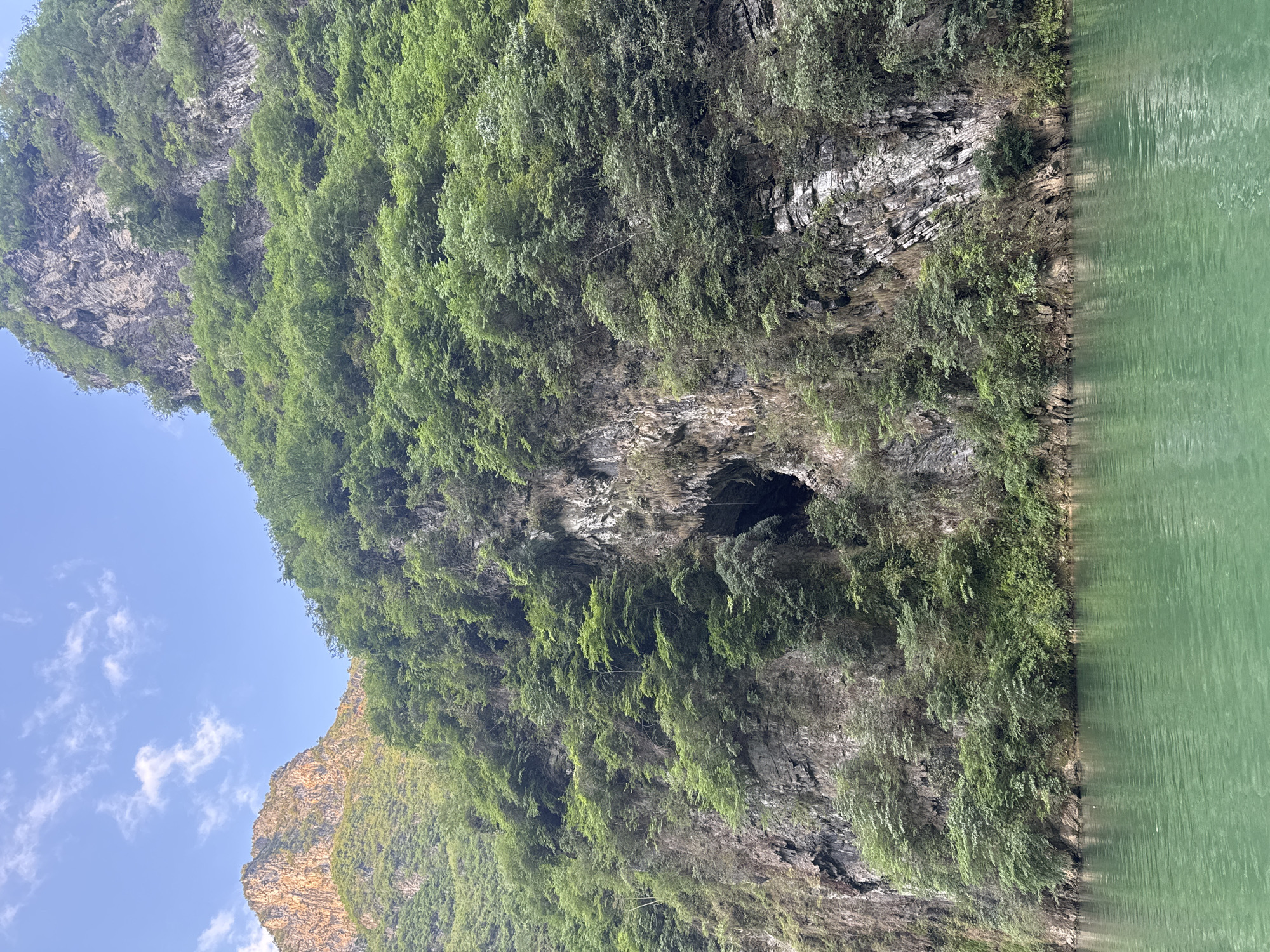 A vertically oriented photograph depicts a verdant mountain side meeting a body of water. The mountain is densely covered with trees and vegetation, clinging to the rocky terrain. A dark cave is visible near the water's edge, suggesting erosion or natural formation in the rock face. The water is a muted green color, with faint ripples disturbing its surface. A sliver of blue sky with scattered clouds is visible in the upper left corner, providing a contrast to the dominant green and gray hues of the landscape. The rugged texture of the rock is apparent, adding depth and dimension to the scene. Based on the prompt, the location is Đồng Văn Commune, Vietnam.
