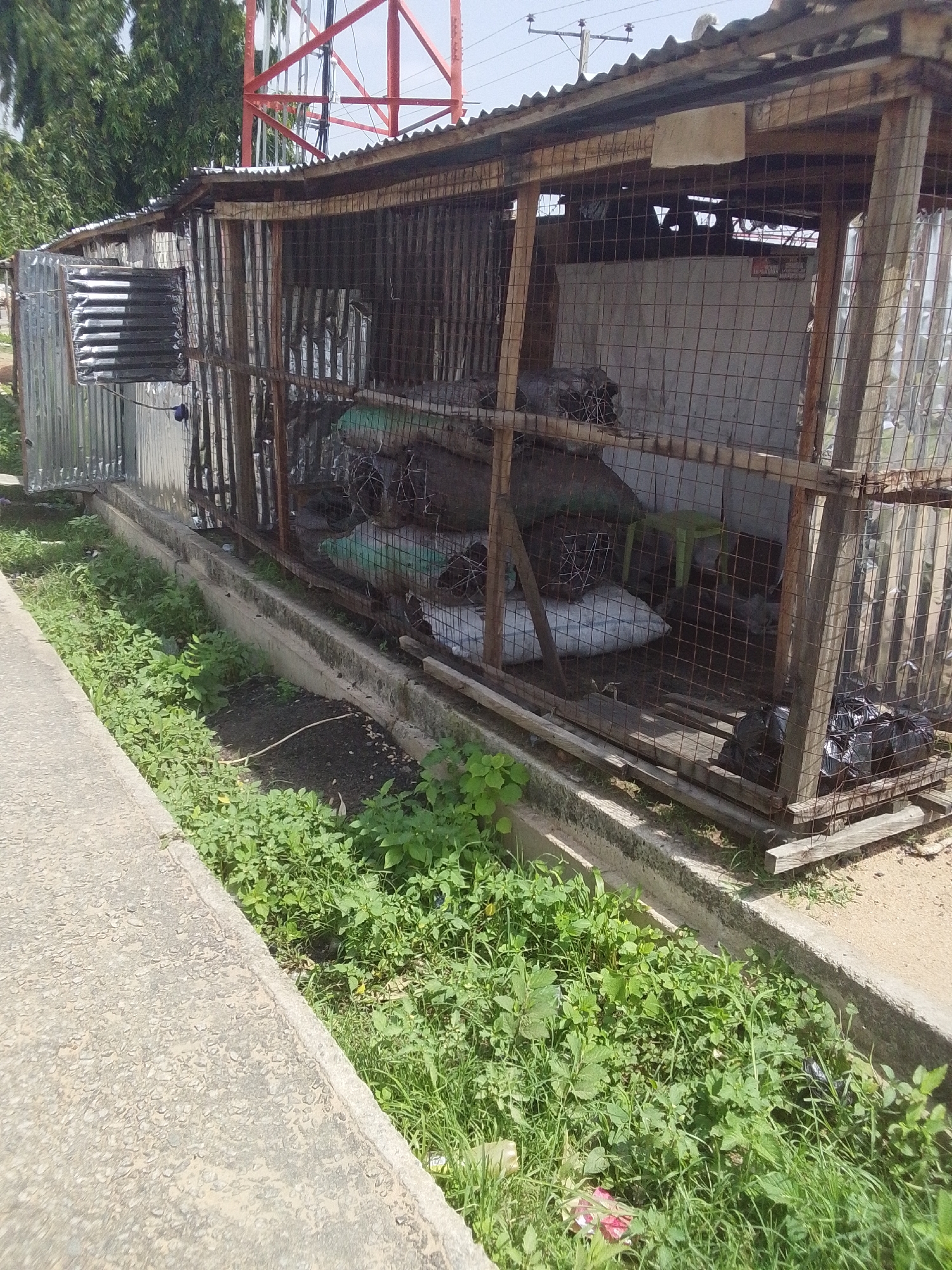 This media file depicts an outdoor scene in Jalingo, Nigeria, featuring a makeshift stall or enclosure constructed from wood and corrugated metal. The stall appears to be open-air with a wire mesh front, revealing various objects stored inside. These include several large, wrapped items, possibly sacks, some of which are covered in green material. A small green plastic stool is also visible within the enclosure. Outside the stall, a concrete walkway or sidewalk runs alongside a drainage ditch filled with lush green vegetation. The stall itself is situated next to a road or pathway, and a large red metal structure, possibly a radio or cell tower, rises in the background, partially obscured by trees. The time of day appears to be daytime, with bright sunlight casting shadows. The overall impression is one of a simple, possibly informal, commercial or storage space in a rural or semi-urban environment. There is no clear indication of people or a specific activity taking place. Some plastic bags, one black and others less defined, are visible on the ground within and around the stall. The environment appears somewhat unkempt, with overgrown plants and debris.