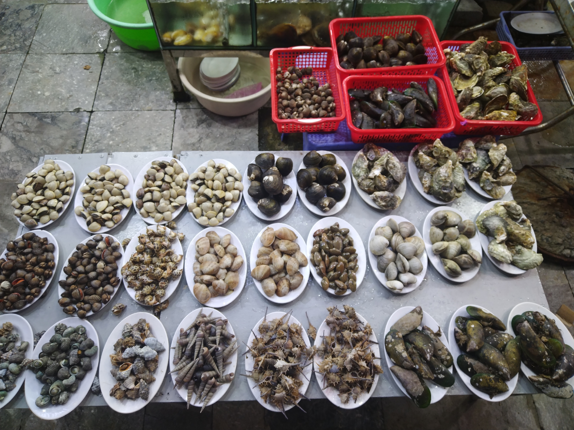 This image captures a vibrant display of fresh seafood, likely at a market or street food stall in Bai Chay Ward, Vietnam. The scene is dominated by a large array of various shellfish, neatly organized and presented on white oval plates, arranged in multiple rows on a grey surface.
In the foreground and midground, approximately 25-30 white oval plates showcase a diverse selection of marine life. These include numerous types of clams, such as small, light-colored clams and larger, darker ones. There are also plates piled with fresh oysters, some showing their rough, varied-colored shells. Mussels with dark, often greenish-black shells are visible on several plates towards the right. A significant portion of the display features various types of sea snails or gastropods; some plates hold small, spiky-shelled snails, others have elongated, conical snails, and a few contain larger, rounded snails. Additionally, there are plates filled with small, ridged cockles.
In the background, behind the main display, more seafood is visible in larger containers. Four red plastic mesh baskets are stacked, filled with a mix of dark-shelled shellfish, possibly more mussels or clams. Further back, clear glass tanks, supported by a metal frame, appear to hold live seafood, though individual species are not distinctly clear from this angle. A bright green plastic bucket and a beige ceramic basin, both containing water, are also present, suggesting the active preparation or maintenance of the fresh seafood. The ground is a light-colored tiled floor, showing some wetness, indicative of a busy market environment. No people are visible, and there is no discernible text in the image. The lighting suggests it is daytime or early evening.