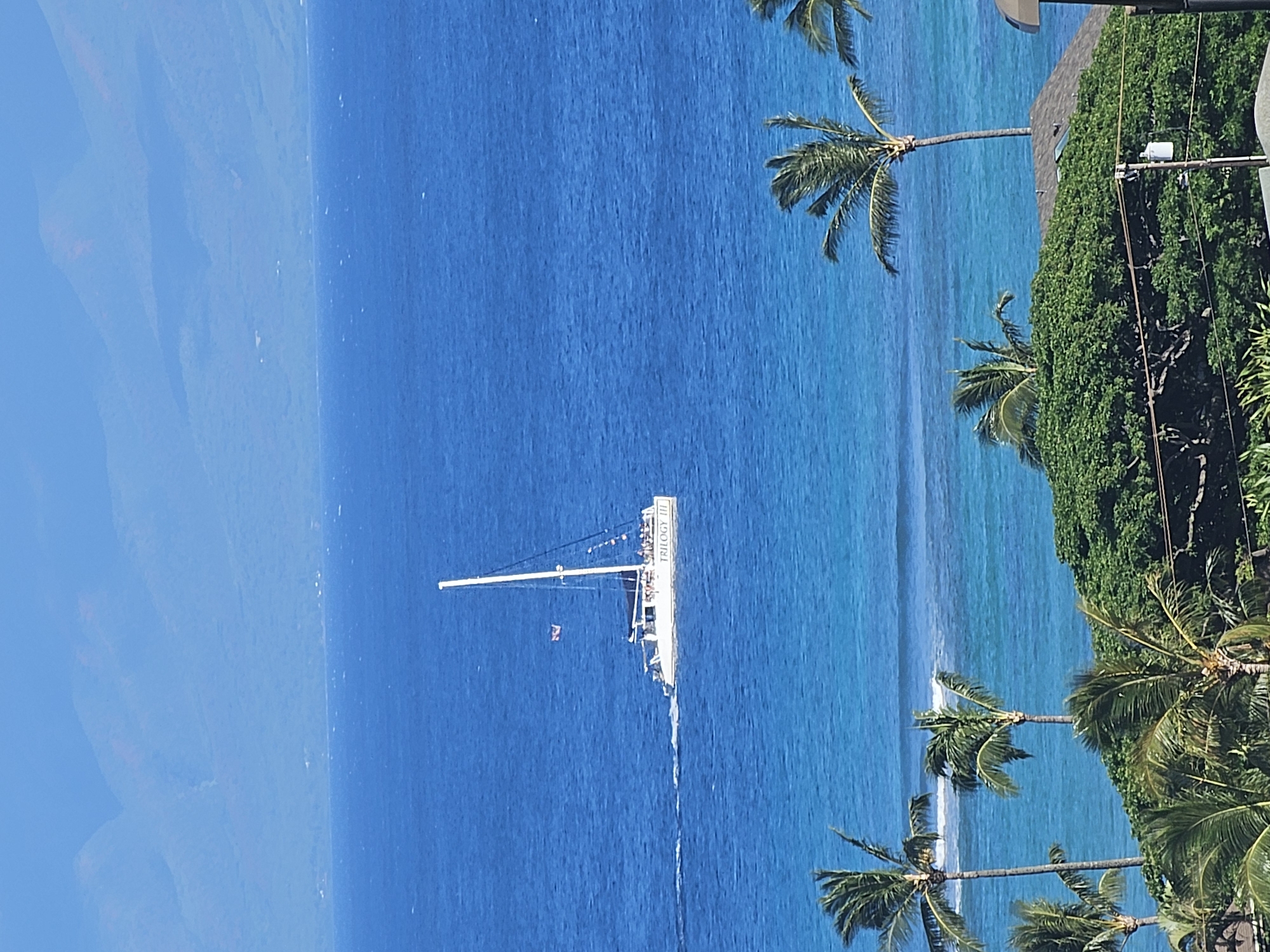 A wide, high-angle, eye-level shot captures a bright, sunny day with a clear blue sky and calm ocean waters. In the distance, hazy mountains form a backdrop. In the mid-ground, a white catamaran, named "TRILOGY III," sails across the water, leaving a white wake. The boat has a single mast with a sail and several people are visible on deck. Closer to the foreground, lush green palm trees and dense foliage cover the land, with the roof of a building peeking out from behind the trees. The scene appears to be in Napili, Hawaii, USA.
