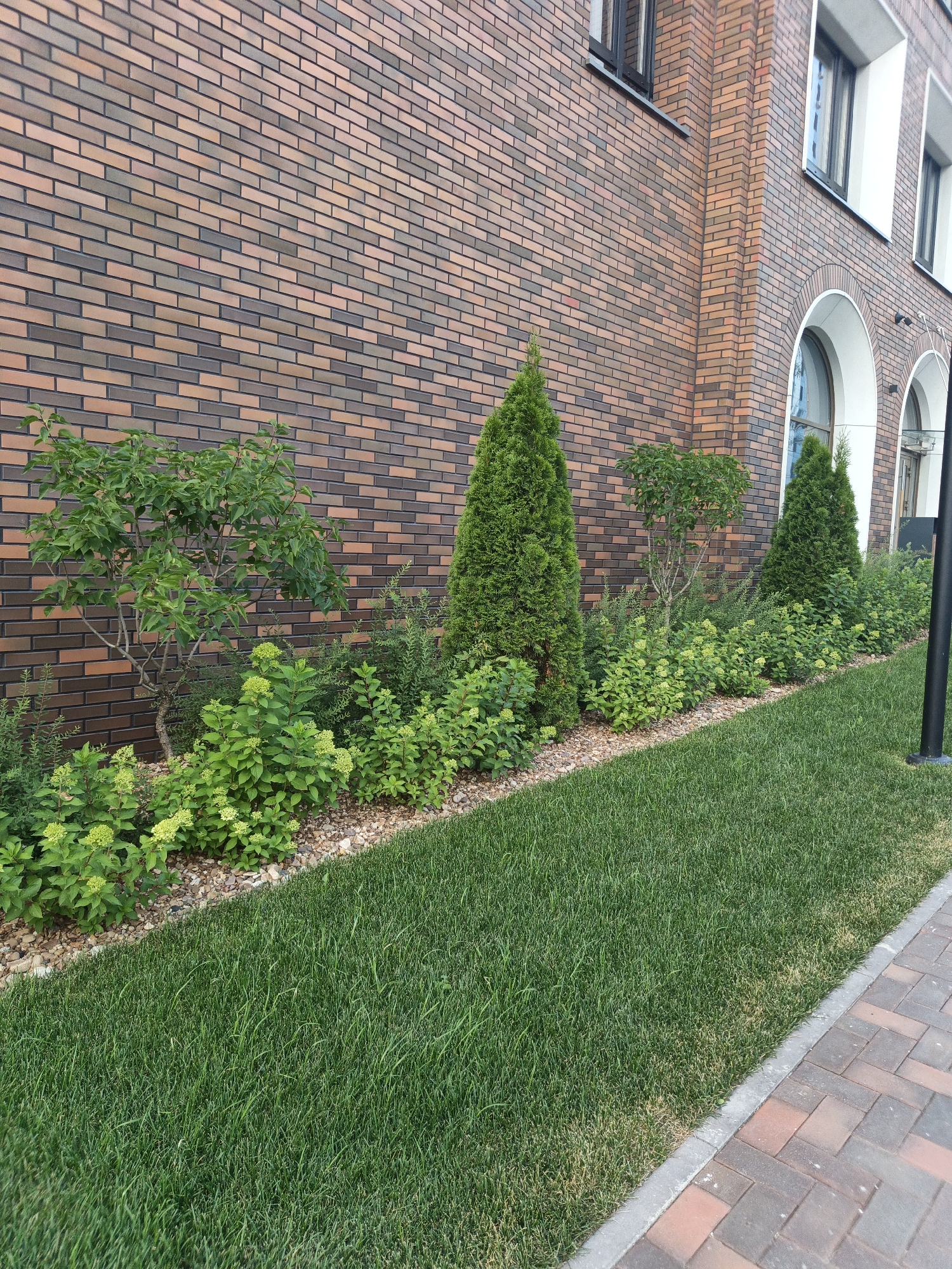 This is a landscape photograph taken outdoors, likely during the daytime, depicting a manicured garden area adjacent to a building. The building, constructed with multi-colored brickwork, features several arched windows with white surrounds. A well-maintained lawn occupies the foreground, bordered by a brick pathway. Behind the lawn, a strip of mulch is visible, separating the grass from a densely planted garden bed.
The garden bed is comprised of various green shrubs and small trees. Prominently featured are two tall, conical evergreen trees, likely cypress or juniper, flanking a smaller, deciduous tree with a spreading canopy. Smaller, flowering shrubs with clusters of light green blooms are interspersed throughout the bed. The overall impression is one of careful landscaping and upkeep.
There is no visible text in the image. The scene suggests a well-kept residential or commercial property in Ufa, Russia, characterized by its architectural style and detailed garden design. The lighting and the lush greenery suggest pleasant weather conditions.