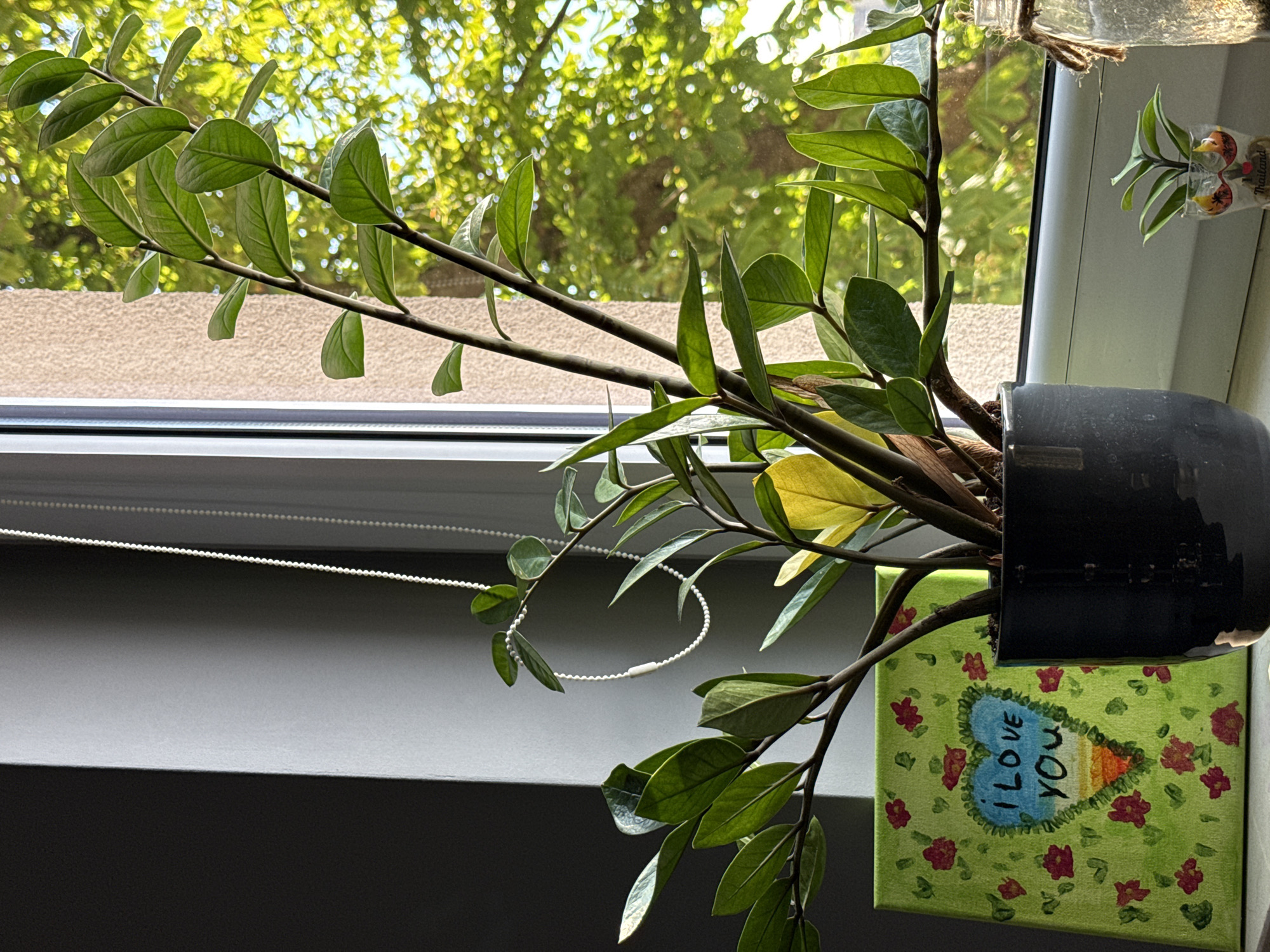 The image shows a close-up view of a potted plant, likely a ZZ plant, with glossy green leaves. The plant is positioned near a window, with sunlight filtering through the leaves and creating a bokeh effect in the background, suggesting a bright, sunny day. The window looks out onto lush green foliage, indicating an outdoor setting with trees.
Attached to the side of the black pot is a small, square canvas painting. The painting features a light green background covered in scattered red floral motifs. In the center of the canvas is a blue heart shape with the words "I LOVE YOU" written inside in black lettering. The heart has a striped, rainbow-like design towards its pointed end.
In the upper right of the image, a glass jar is suspended by twine, with a small, green plant cutting visible inside, possibly being propagated in water. The setting appears to be indoors, near a window. The overall mood is peaceful and domestic. The image does not contain any explicit location cues that would pinpoint it to Łódź, Poland, beyond what was provided.