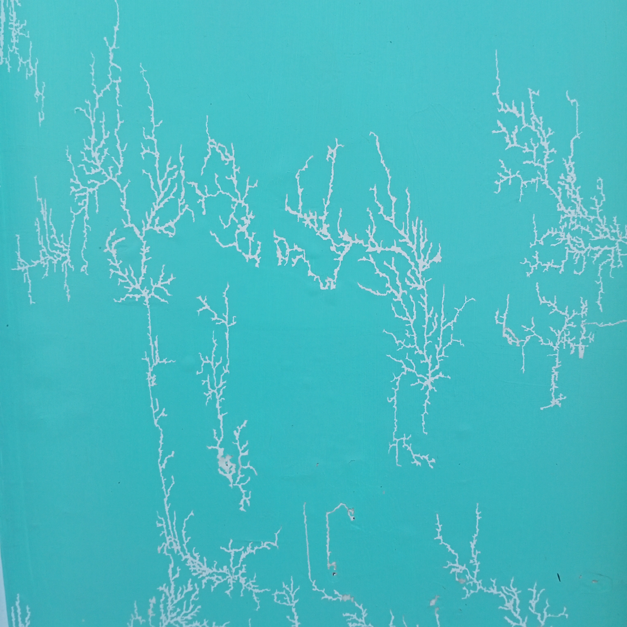 The image displays a close-up, full-frame view of a textured, aqua-colored surface. The texture appears to be a matte finish, possibly a painted wall or a similar material. Superimposed on this surface are intricate, branching patterns in white. These white patterns resemble natural formations such as dendrites, frost patterns, or veins. They vary in density and complexity, with some areas showing denser, more elaborate branching and others appearing sparser. The lighting appears to be even, casting no significant shadows. There are no people, animals, or any other discernible objects in the image. The focus is entirely on the abstract white patterns against the solid aqua background. The location in Kedung Dowo, Indonesia, is not visually represented in the provided image.