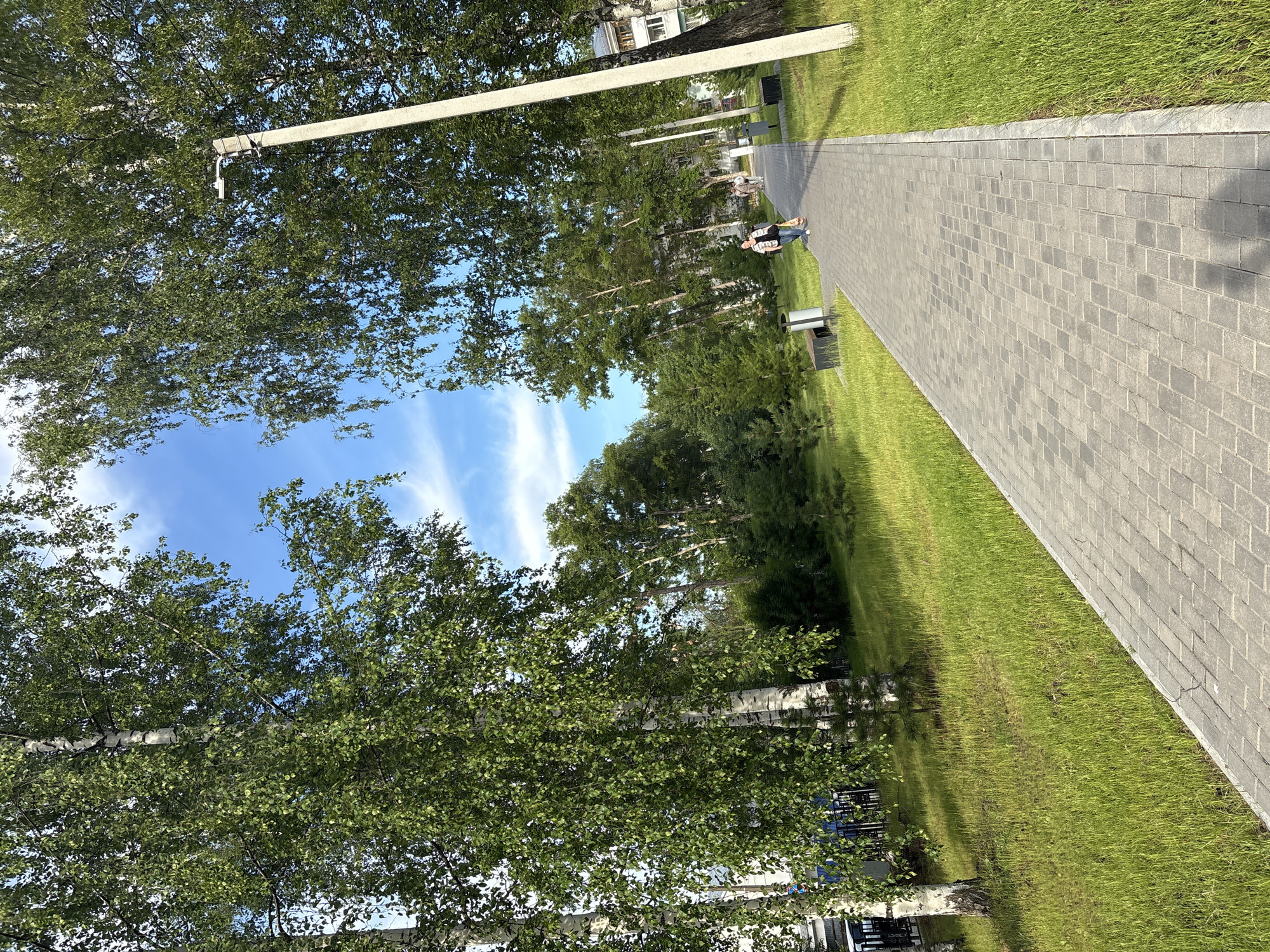 The image depicts a paved pedestrian pathway in a park-like setting, likely in the city of Chaikovsky, Russia. The pathway is constructed from gray interlocking pavers and is flanked by well-maintained green grass on either side. Tall deciduous trees with abundant green foliage, characteristic of birch trees, dominate the left side of the frame, their branches extending towards the sky. A concrete lamppost stands on the right side of the path. In the distance, several individuals are walking along the pathway, with one person in the foreground appearing to be carrying a bag. Behind the trees and pathway, a building with white siding and a dark roof is partially visible. The sky is a bright blue with scattered white clouds. The overall scene suggests a public outdoor recreational space.
