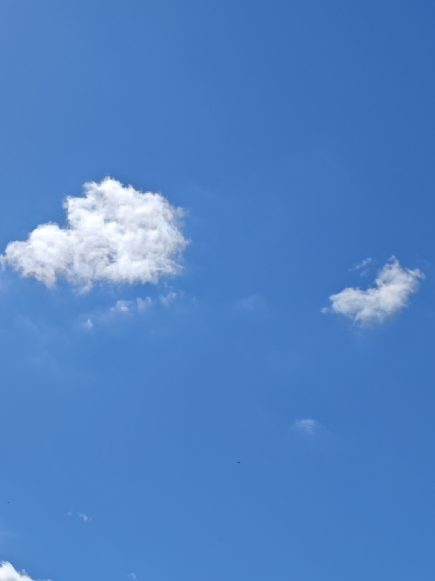An eye-level, full shot captures a bright blue sky with scattered white clouds. In the upper left quadrant, a large, puffy cloud resembling a heart is prominent. To the right, a smaller, wispy cloud floats in the distance. The lower portion of the frame shows faint, distant clouds and the silhouette of a small bird in flight. The scene is devoid of any urban elements.