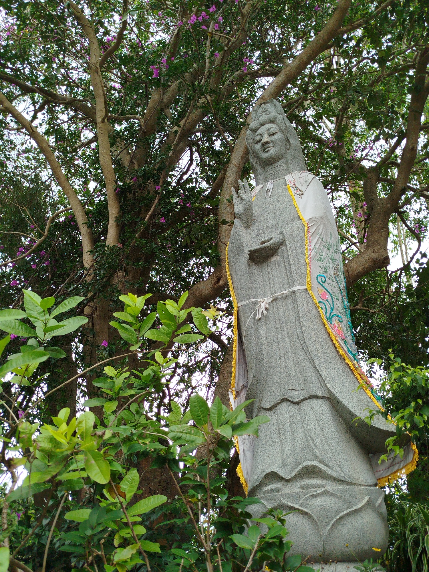 A stone statue of a woman stands amidst lush foliage and a large tree with purple flowers in Lâm Viên, Đà Lạt, Vietnam. The statue is gray with a white shawl adorned with intricate floral designs and yellow trim. The woman raises her right hand in a blessing gesture, while her left hand holds a small object. The statue is positioned on a base with lotus petal carvings, surrounded by green leaves and branches. The background features a mature tree with numerous branches, adorned with sparse purple blossoms.