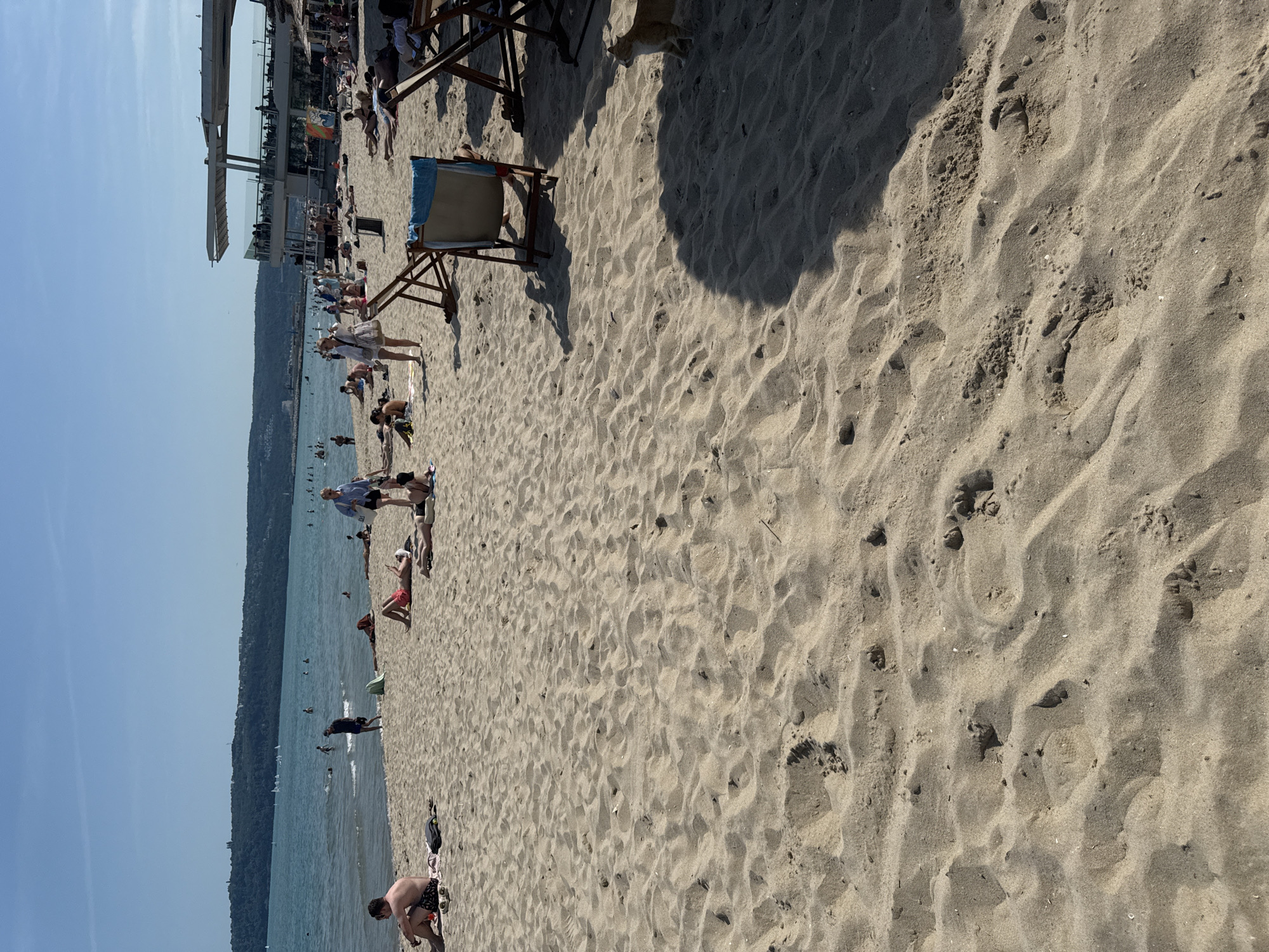 The image presents a busy sandy beach under a clear blue sky, identified as South Beach (Yuzhen Plazh) in Varna, Bulgaria. The calm, blue sea is visible on the left and center, bordered by a distant, vegetated hilly coastline.
The foreground consists of light-colored sand, marked with numerous footprints and undulations, and displaying distinct shadows from people and objects, indicating strong overhead sunlight. In the mid-ground, numerous individuals are dispersed across the beach. A man in dark shorts is seated on a towel in the lower-left. Several people are observed sunbathing directly on the sand or on towels. Others are walking, including a man in dark clothing near the water's edge and a woman in light attire carrying a bag further right.
Multiple wooden-framed beach chairs are present, one empty chair draped with a blue towel is positioned in the mid-right. A light-colored cat walks on the sand in the lower-right corner, partially within a large shadow.
In the sea, several individuals are swimming or wading, and multiple small white sailboats are visible further offshore in the distant bay. On the right side of the beach, a prominent, multi-level modern building, likely a restaurant or bar, features patrons on its terraces.