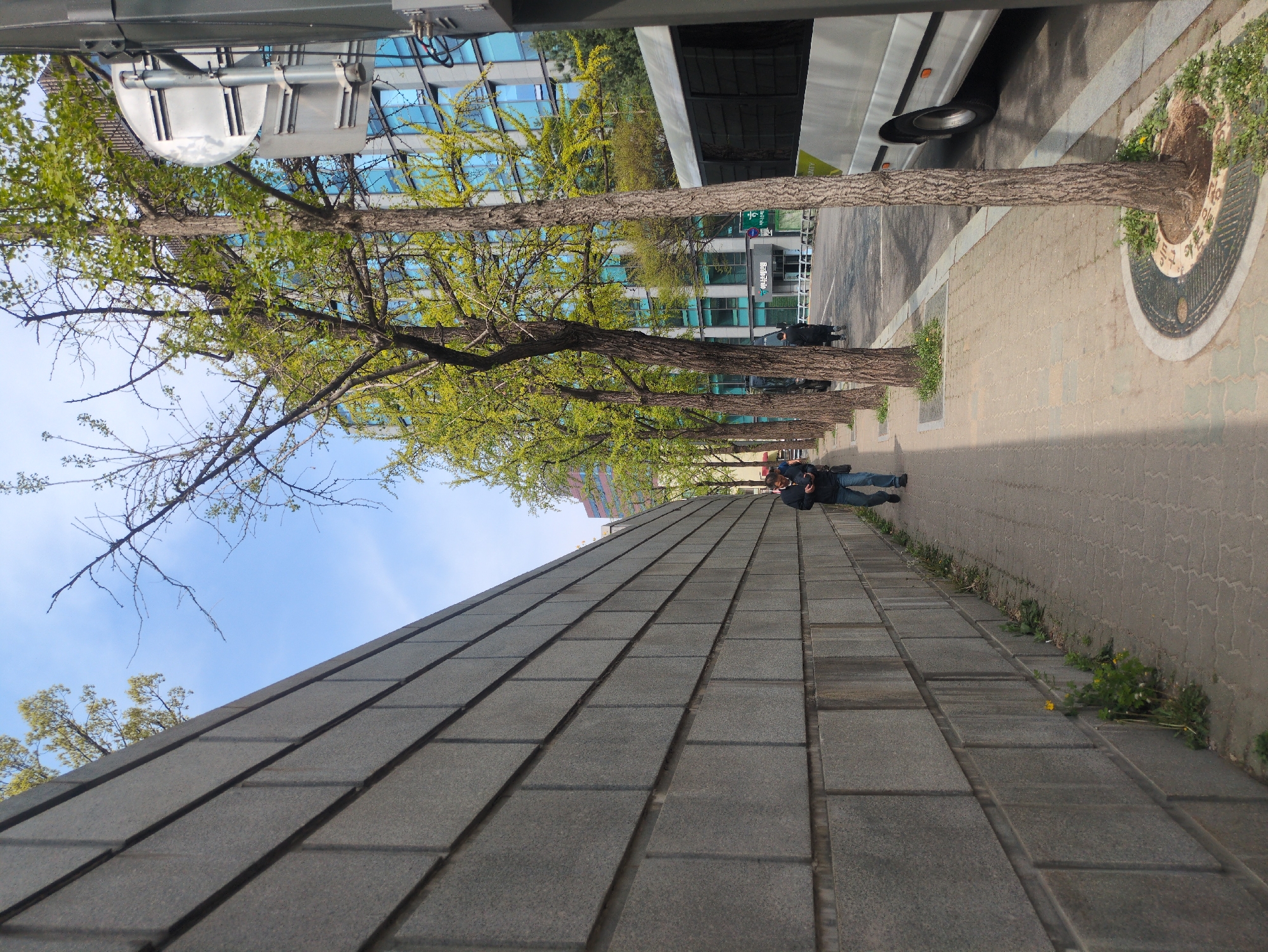 The image shows a sidewalk in Seoul, South Korea. A bus is partially visible at the top edge of the image, along with street lights and a modern building. A row of trees lines the sidewalk, with circular grates surrounding their bases. A person in a dark jacket and jeans is walking along the sidewalk. A low wall, constructed of gray, rectangular blocks, runs along the left side of the image. Patches of weeds and grass grow along the edges of the sidewalk. The sky is visible in the upper left corner.