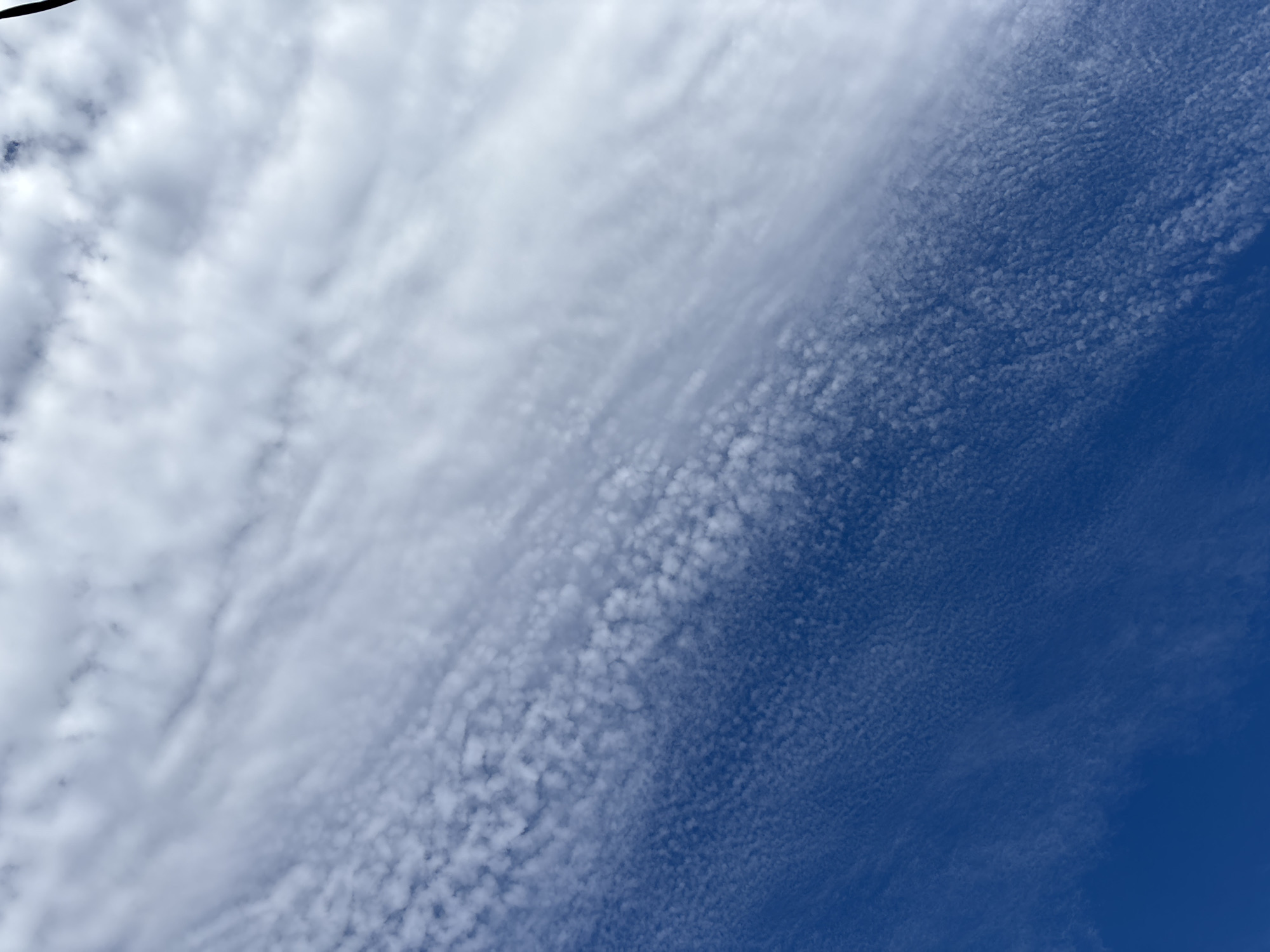 The image depicts a clear, deep blue sky partially covered by altocumulus clouds. The clouds are concentrated more on the left side of the frame, fading into a clearer blue towards the right. The altocumulus clouds have a mottled, rippled appearance. A thin, dark object is visible in the upper left corner of the image. The location of this image is Sochi, Russia.