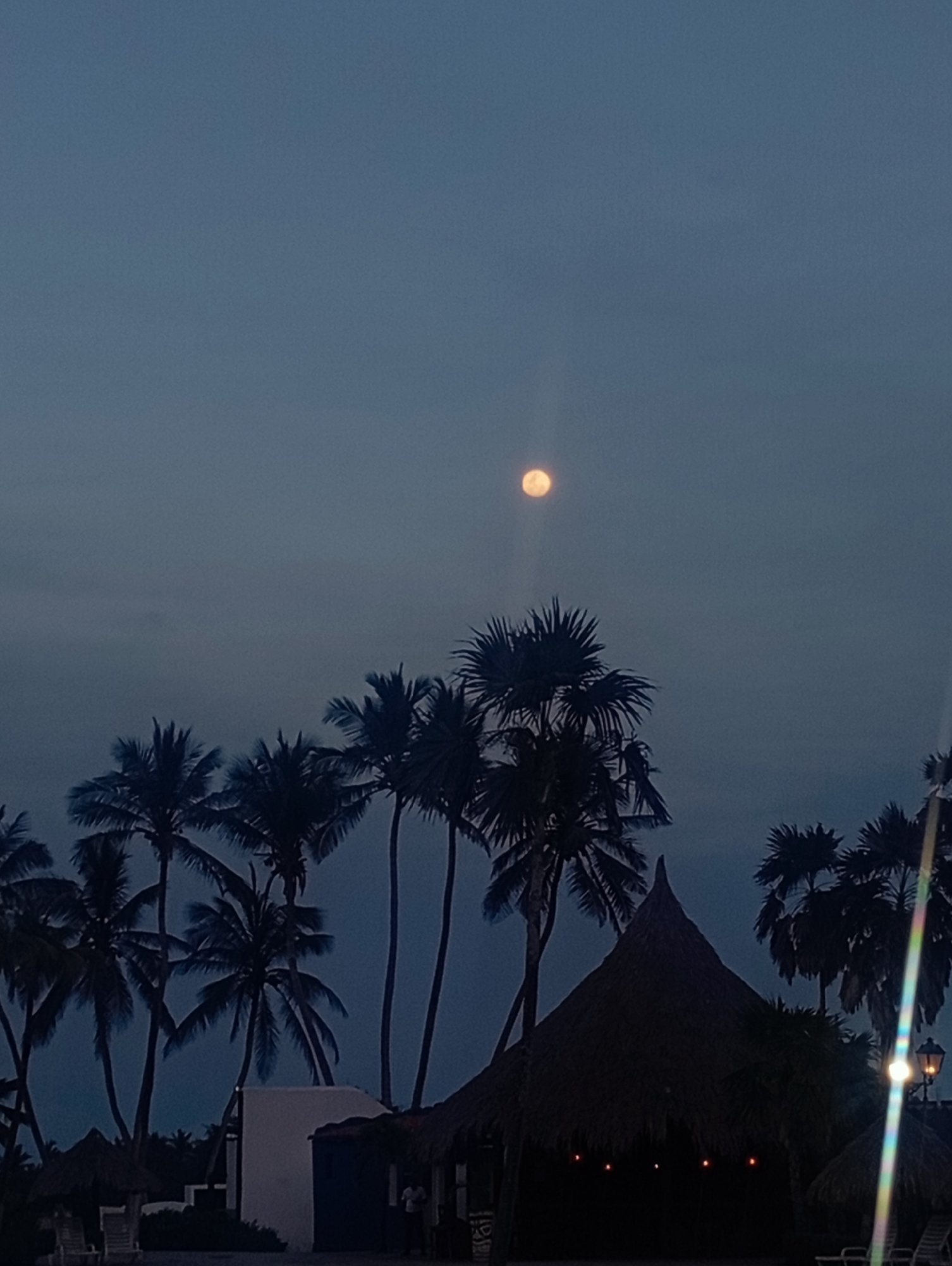 At night in Playa El Agua, Venezuela, a collection of palm trees stands in silhouette against a dark blue sky illuminated by a full moon. A thatched-roof structure is partially visible on the right side of the frame, its interior dimly lit. A white structure with a dark blue door is on the left side. In the foreground, lounge chairs are visible. A lamppost shines brightly, creating a flare.