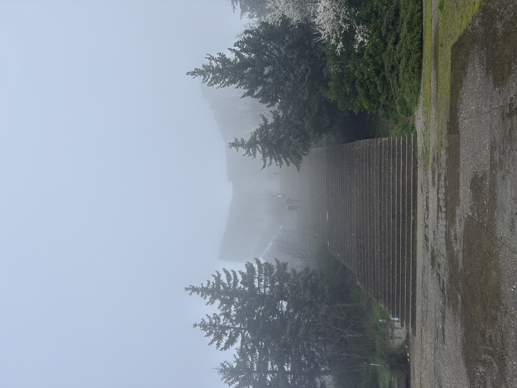 The image shows a long set of concrete stairs leading upwards in a foggy environment. Evergreen trees are visible along the sides of the stairs. A few figures are partially visible on the stairs through the fog. The stairs appear to lead to a building or structure obscured by the fog. A wet concrete surface is present to the right of the stairs. The scene is likely located at the Monument of the Bulgarian-Soviet Friendship in Varna, Bulgaria, as it's a notable location with a long staircase.