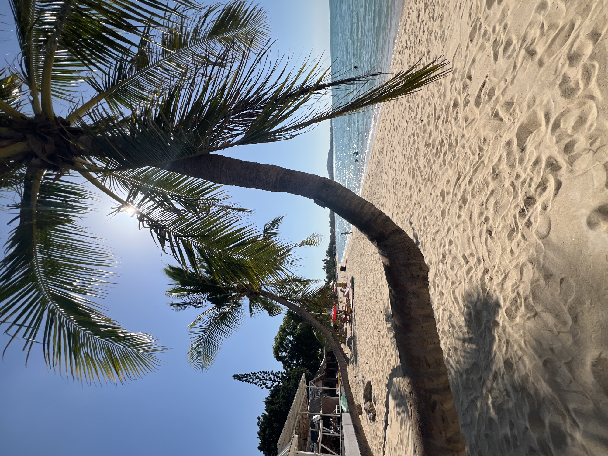 A scenic view of a tropical beach on Ko Samui District, Thailand, is captured under a bright, sunny sky. The foreground is dominated by the curved trunk of a leaning palm tree, casting a shadow on the light-colored sand. Further down the beach, other palm trees are visible, along with beach chairs, umbrellas, and a building with a white roof and open-air seating. The turquoise ocean gently laps the shore, and a few people can be seen swimming in the water. The overall impression is one of a peaceful and idyllic beach resort.