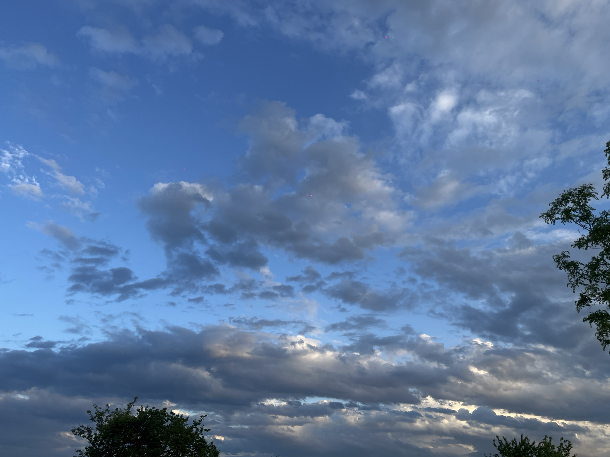 The image shows a sky with clouds, with treetops visible at the bottom and right side. The sky transitions from a clear blue in the upper left to darker, more densely clouded areas toward the bottom. There are pink artifacts present in the image, and the location is indicated as Novopokrovskaya, Russia. No people or actions are visible.