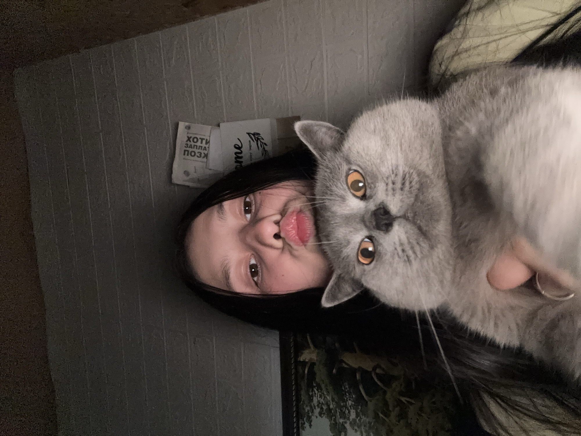 The image shows a young woman with long, dark hair and brown eyes posing in a selfie with a gray British Shorthair cat. The woman has a pouting expression. The cat has amber eyes. They appear to be indoors, possibly in a bedroom. A portion of a wall with vertical textured panels is visible, along with some papers or notes attached to it. There is no information to confirm the location is Фоки, Russia.