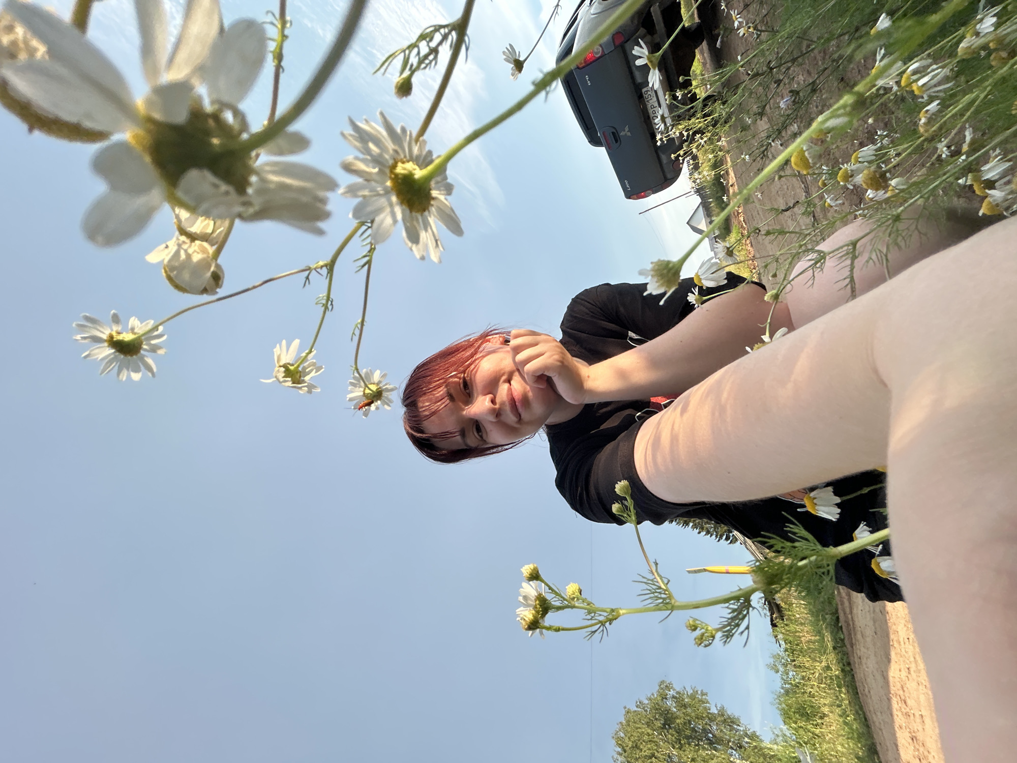 A person with reddish-brown hair is taking a selfie outdoors. They are wearing a black t-shirt with white daisies printed on it. The person is leaning on their hand, with their face close to the camera, and appears to be smiling faintly. In the foreground, white daisies are in bloom, with some in sharp focus and others blurred. Behind the person, a dark-colored vehicle is visible, with its taillights illuminated. The background shows a clear blue sky with some wispy clouds, and hints of greenery and trees. The lighting suggests it is daytime, possibly late afternoon or early evening due to the warm glow. The scene is set in a natural environment, possibly a field or roadside, given the presence of flowers, grass, and the vehicle. The overall mood is relaxed and casual. The license plate on the vehicle is partially visible and appears to be "XX 2211 159". The location context indicates this is in Фоки, Russia.