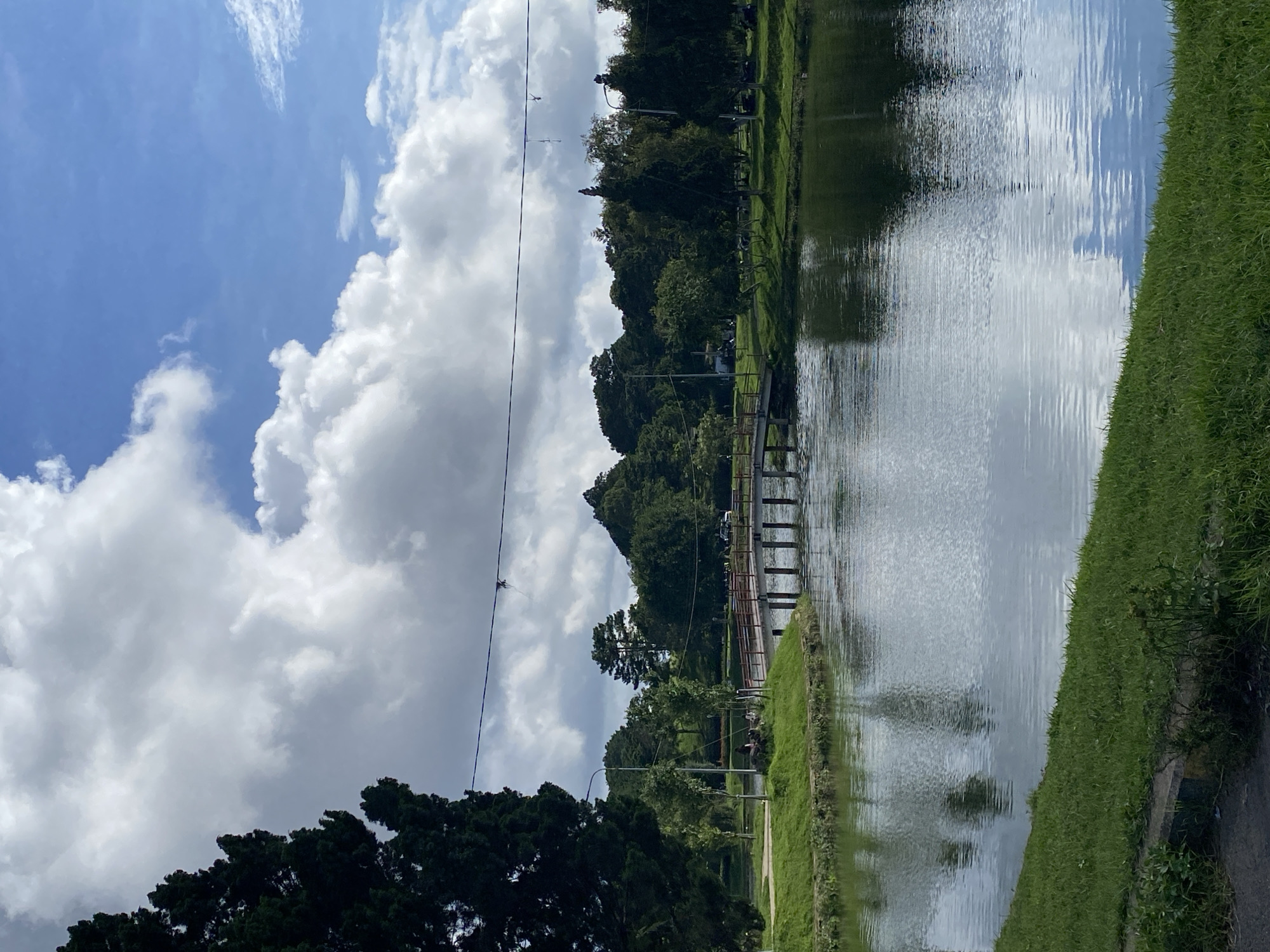 The image shows a serene lake with a wooden bridge spanning across it. The lake is surrounded by lush green trees and grass, with a clear blue sky dotted with fluffy white clouds above. In the distance, a few people are visible on the bridge, enjoying the scenic view. The overall atmosphere is peaceful and tranquil, characteristic of Xuân Hương Lake in Đà Lạt, Vietnam, a popular tourist destination known for its natural beauty and recreational activities.