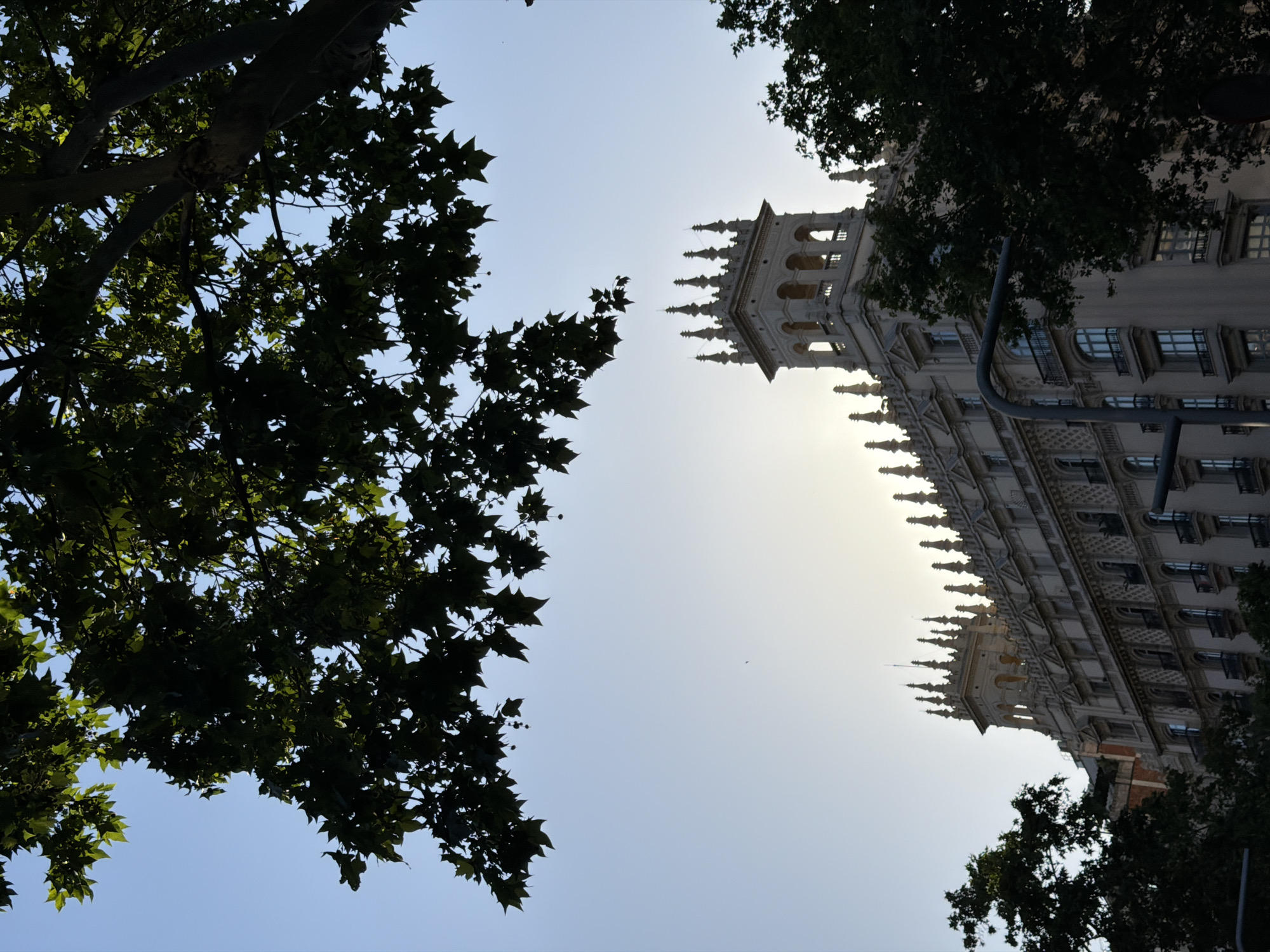 The image presents an upward-looking view of an ornate building framed by dense tree canopies against a bright sky. On the left and extending across the top, dark green foliage and branches of a large tree, possibly a plane tree, are silhouetted, with individual leaves clearly visible.
On the right side of the frame, a grand, light-colored building with intricate architectural details stands against the sky. The building appears significantly tilted clockwise within the frame. It features a prominent tower or turret adorned with arched windows and a distinctive spiky or crenellated parapet. Below this, the building's facade displays multiple levels with similar decorative spikes along rooflines, arched windows, and textured patterns, suggesting a historical or Gothic Revival architectural style.
The sky is a clear, light blue, with a bright, hazy glow concentrated around the building's upper sections and towards the right, indicating the low position of the sun, likely during early morning or late afternoon. This backlighting creates strong contrasts between the dark trees and the bright sky and building.
There are no people visible in the scene, and no specific activity is taking place. No discernible text appears in the image. The setting suggests an urban environment, aligning with the location context of Barcelona, Spain. The composition is characterized by the natural framing of the building by the trees and the strong light contrast.