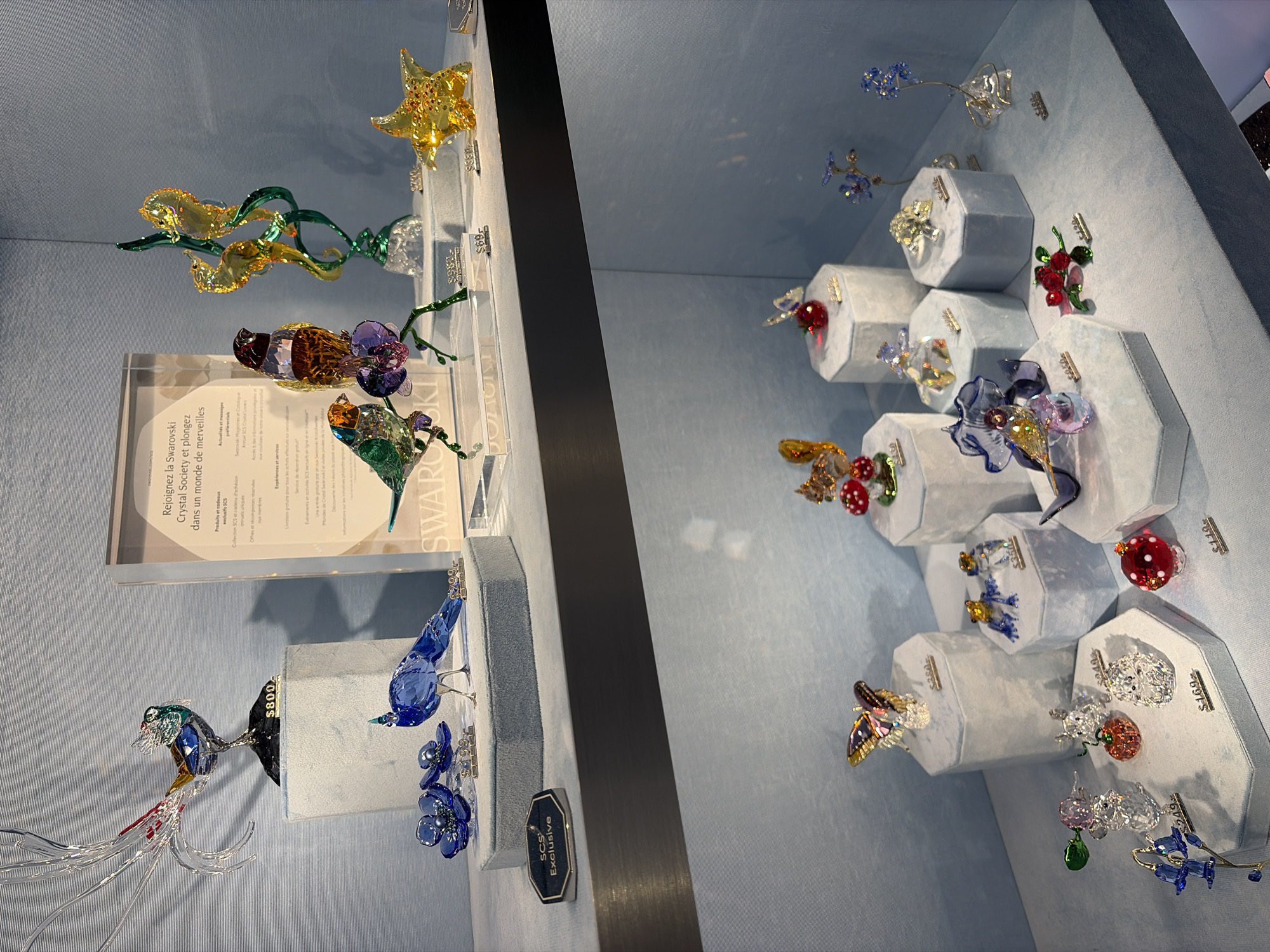 This is a photograph of a retail display case, likely in a store, showcasing an assortment of decorative crystal figurines. The display is arranged on two shelves, with the upper shelf featuring larger pieces and the lower shelf displaying smaller items. The background is a textured blue surface, consistent with a retail environment. The overall impression is one of a high-end gift shop or boutique. The lighting is bright and even, highlighting the refractive qualities of the crystal. There are no people visible in the image. On the upper shelf, to the left, is a large, elaborate crystal bird with long, flowing tail feathers, perched on a black base. A price tag reading "$800" is visible. Next to it, on a light blue velvet stand, is a smaller blue crystal bird. Two blue crystal flowers with dark centers are positioned in front of the stand, each with a price tag. To the right of the blue bird, on a similar stand, are two crystal seahorses intertwined on a green, wavy structure. To the far right, a yellow crystal starfish rests on a stand. There are several smaller price tags scattered around the upper shelf items. A framed sign with French text is also present on the upper shelf, promoting a "Swarovski Club". The lower shelf contains a variety of smaller crystal figurines. These include a butterfly, several small animals such as hedgehogs and frogs, fruits (strawberries and what appears to be a mushroom), flowers, and other decorative shapes. Each item is placed on a small, light blue, hexagonal pedestal, and most have individual price tags. For example, a red crystal mushroom is priced at "$119", and a cluster of blue crystal flowers is priced at "$249". The overall presentation is neat and organized, with each item individually showcased. The backdrop of the lower shelf is also a light blue, textured surface. While the image itself does not contain any direct indicators of its specific location in Montreal, Canada, the presence of French text on the promotional signage ("Rejoignez la Swarovski Club", "dans un monde de merveilles") strongly suggests a French-speaking region. Given that Swarovski is an international brand, and Montreal is a major Canadian city with a significant French-speaking population, this display is consistent with a Swarovski boutique or a department store with a dedicated Swarovski section in Montreal. The meticulous arrangement and display of crystal figurines are characteristic of