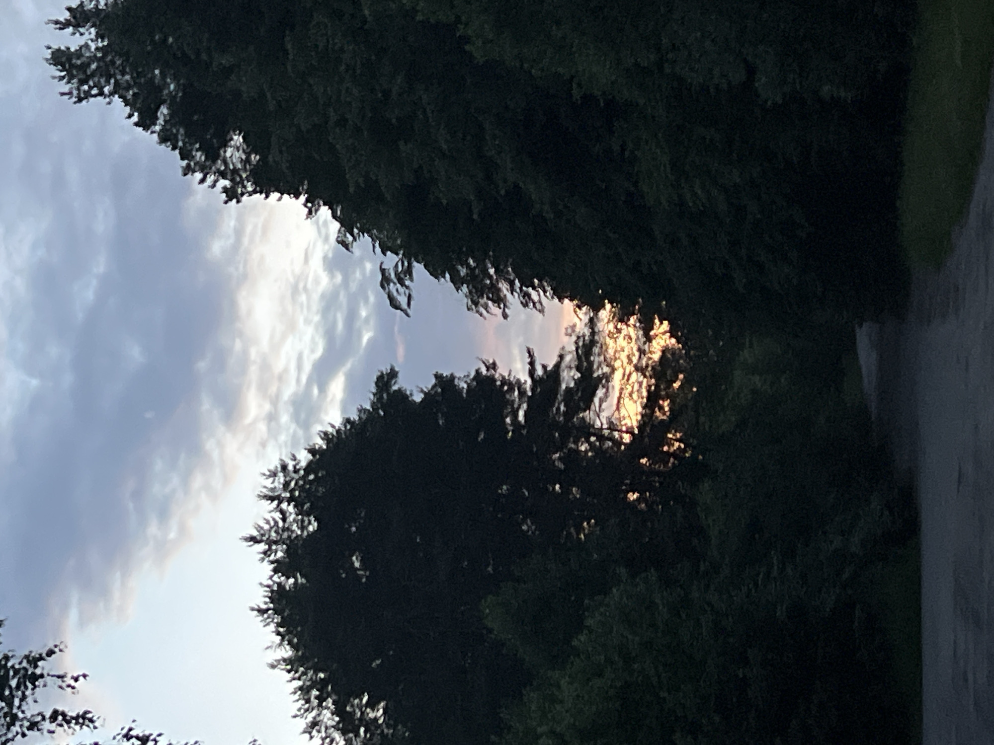 The image shows a road through a wooded area with silhouetted trees against a cloudy sky at dusk. The sun is setting, casting a warm glow through the trees in the distance. The road appears to be paved and curves gently. The trees are dense and dark, creating a framing effect for the sky and sunset. There are no people or animals visible in the image. The overall impression is one of peaceful, natural scenery.