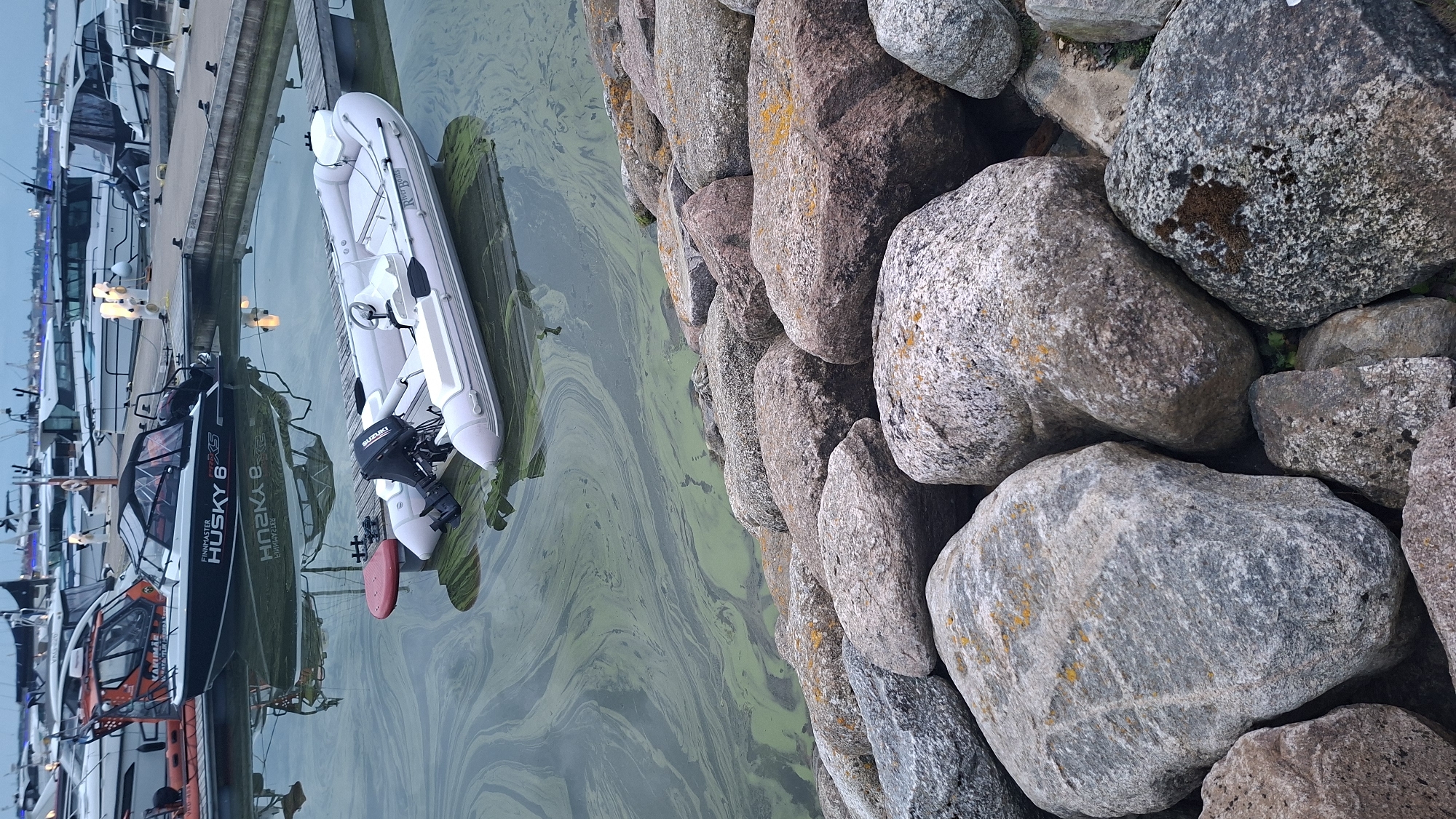 The image shows a rocky shoreline in a marina in Tallinn, Estonia, with several boats docked. The water is murky green, with swirling patterns of algae. In the foreground, large, grey rocks are piled along the water's edge. Two inflatable boats are visible in the water, one with a Suzuki outboard motor. A larger boat with the name "FINNMASTER HUSKY 6XS" is docked behind them. In the background, several other boats are moored at the docks, and a cityscape is faintly visible on the horizon under an overcast sky. The overall scene depicts a waterfront area, likely a leisure or commercial harbor, experiencing some level of algal bloom. There are no people visible in the image.