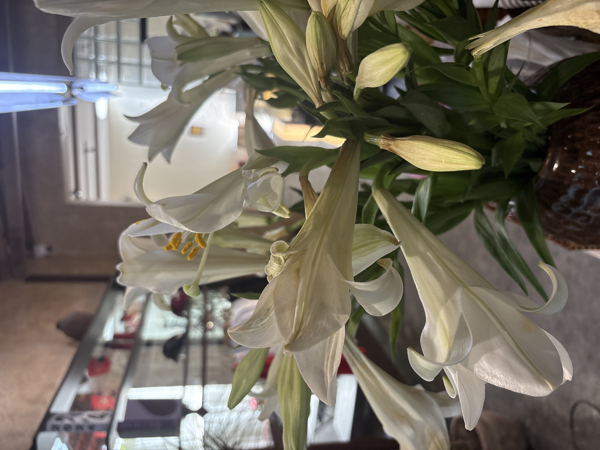 A close-up, indoor shot captures a vase filled with white lilies. The flowers are in various stages, with some fully bloomed and others still closed as buds. The leaves are a dark green, providing a contrast to the white petals. The vase appears to be brown and has a textured surface. The background shows a glimpse of what appears to be a storefront or display case, reflecting light and containing various items. A light fixture is visible near the top of the frame, adding to the brightness of the scene. The location is Nha Trang Ward, Vietnam.