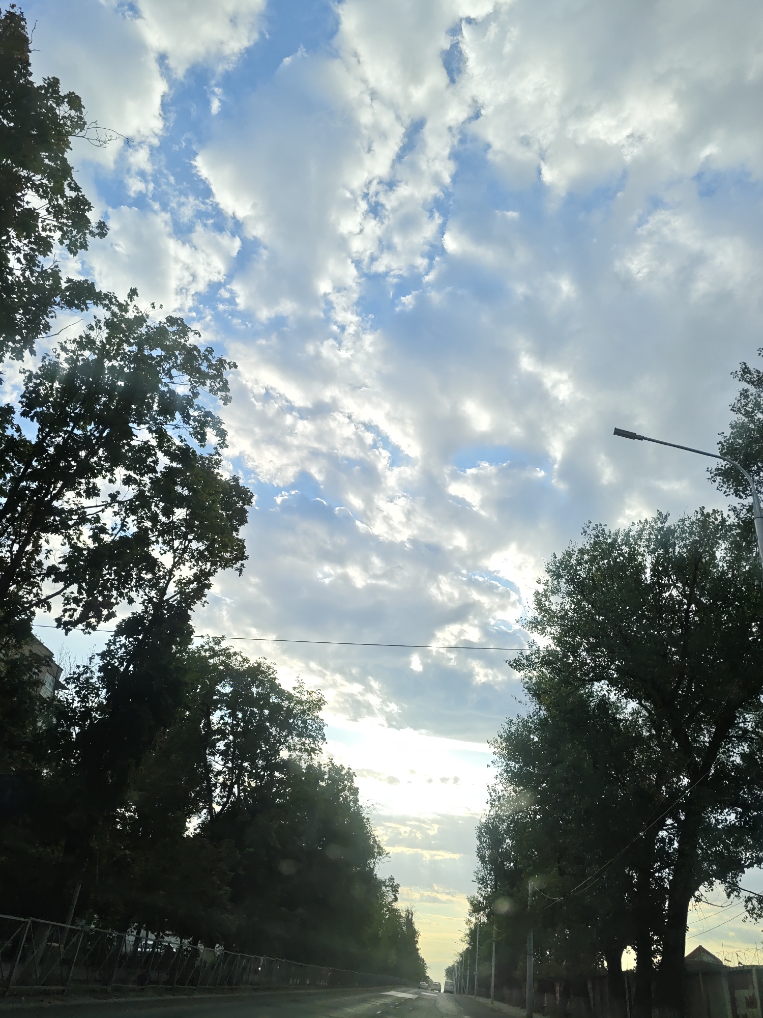 The image captures a street scene in Novocherkassk, Russia, under a dramatic sky. Lush green trees line both sides of a paved road, casting shadows and framing a view of the sky. The sky itself is a dynamic mix of bright blue and white clouds, some of which are illuminated by the sun, suggesting it is either early morning or late afternoon. A street lamp is visible on the right side of the frame. The road appears to be a thoroughfare, with a few distant vehicles suggesting it is in use. A metal fence runs along the left side of the road. The overall impression is a typical urban environment on a day with interesting cloud formations.