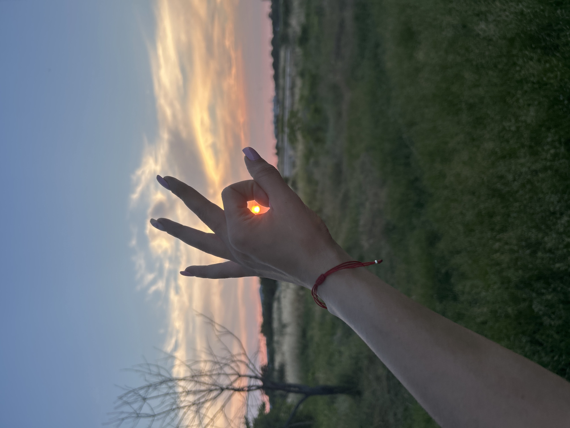 A person's hand is held up in the foreground, with the thumb and index finger forming a circle. The sun is perfectly framed within this circle, appearing as a bright orange orb. The hand has light purple nail polish on the fingernails and a thin red string bracelet is tied around the wrist.
The background shows a landscape at sunset. The sky is a gradient of blue, pink, and orange, with wispy clouds. A bare, dark tree with intricate branches is visible in the lower left corner, its silhouette stark against the colorful sky. The ground is covered in green grass, with some areas appearing a bit parched or dry. In the distance, a flat horizon line suggests a rural or undeveloped area, possibly with some distant structures or trees.
The image captures a moment of golden hour, likely during sunset, given the colors of the sky and the position of the sun. The framing of the sun with the hand suggests a creative or contemplative gesture, perhaps appreciating the beauty of the sunset. The overall mood is serene and perhaps a bit magical, highlighting the interplay of light and form. There is no visible text in the image.