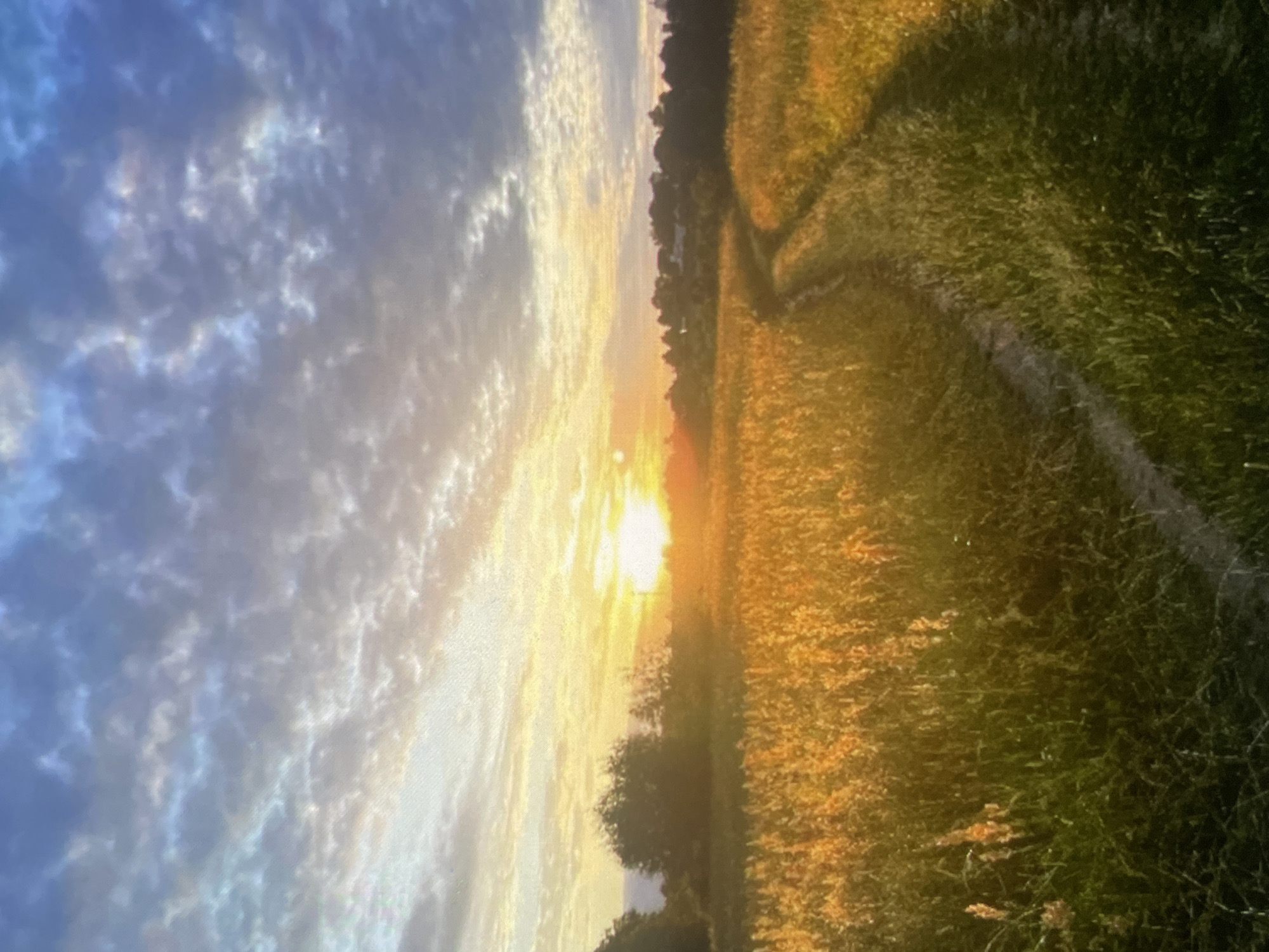 The image, which is presented rotated 90 degrees clockwise, captures a serene landscape scene at either sunset or sunrise. When viewed in its correct orientation, the scene depicts a vast open field under a dynamically lit sky, likely near Harmanli, Bulgaria.
The sun, a brilliant and intense orange-yellow orb, is positioned low on the horizon, slightly to the left of the center. Its powerful light creates a strong lens flare and illuminates the sky and the landscape with a warm, golden glow.
The upper half of the image (when correctly oriented) features a sky with scattered, textured clouds. These clouds range from soft blue and grey on the left to vibrant orange, yellow, and white closer to the sun, with some exhibiting subtle iridescence.
The lower half is dominated by a lush grassy field or meadow, heavily influenced by the warm sunlight. The grass appears golden and yellow in the illuminated areas, transitioning to darker greens and browns in the shadows. A clear, winding path or trail cuts through the field, starting from the foreground on the right and curving towards the distant horizon. A dark line of trees or dense vegetation forms the distant horizon, separating the field from the brightly lit sky. The image conveys a peaceful atmosphere, highlighting the beauty of natural light at dawn or dusk. There is no visible text.